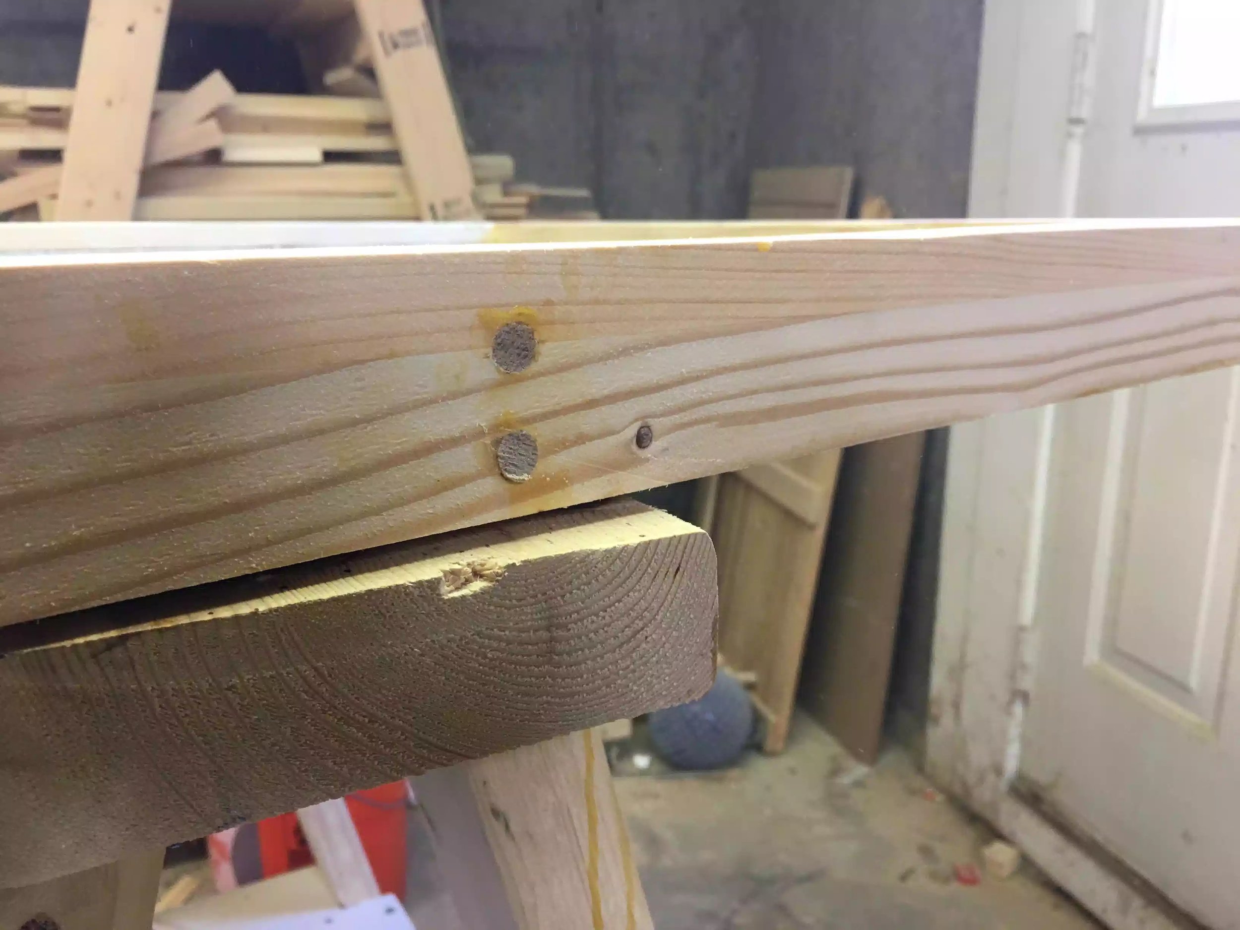 You can see the plugs here after I used my flush trim saw but before sanding them.
