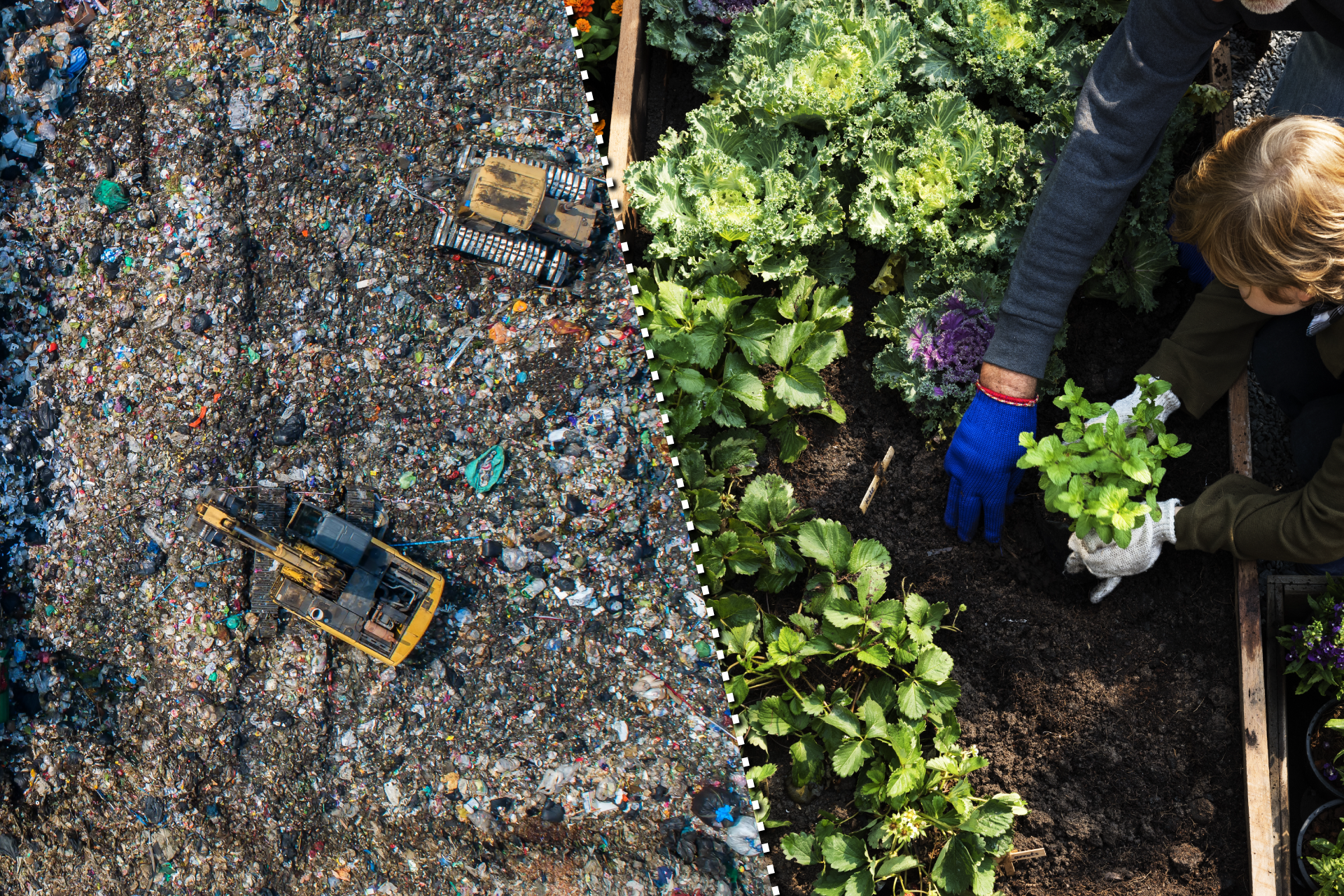 Basura-Compost++.png