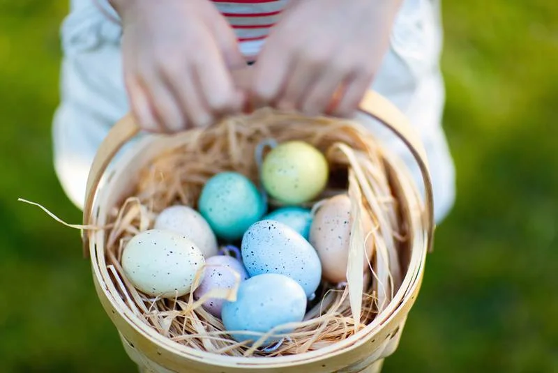 Town of Truro partners with Peace by Chocolate for annual Easter egg hunt