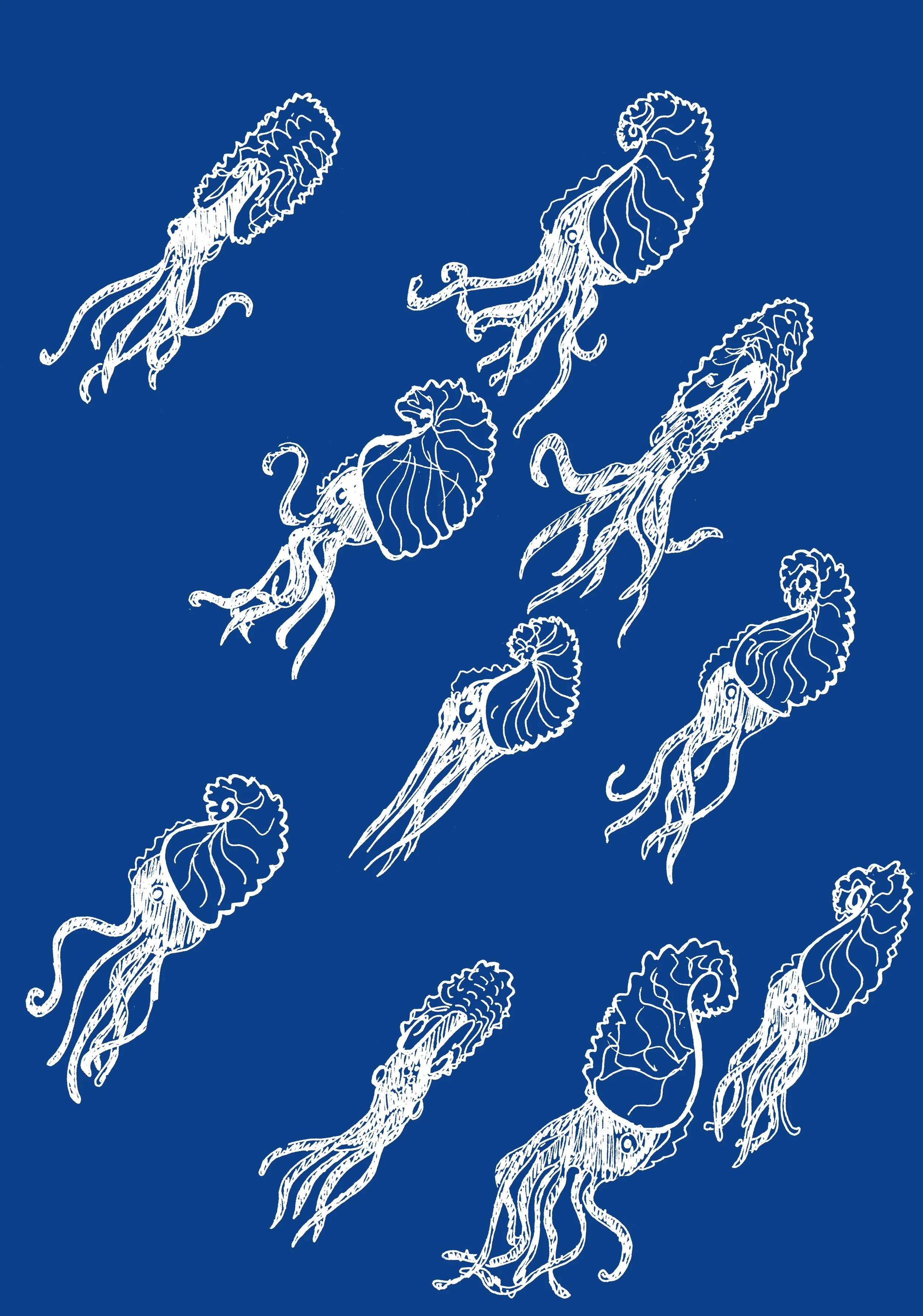 25 argonauts jpg small.jpg
