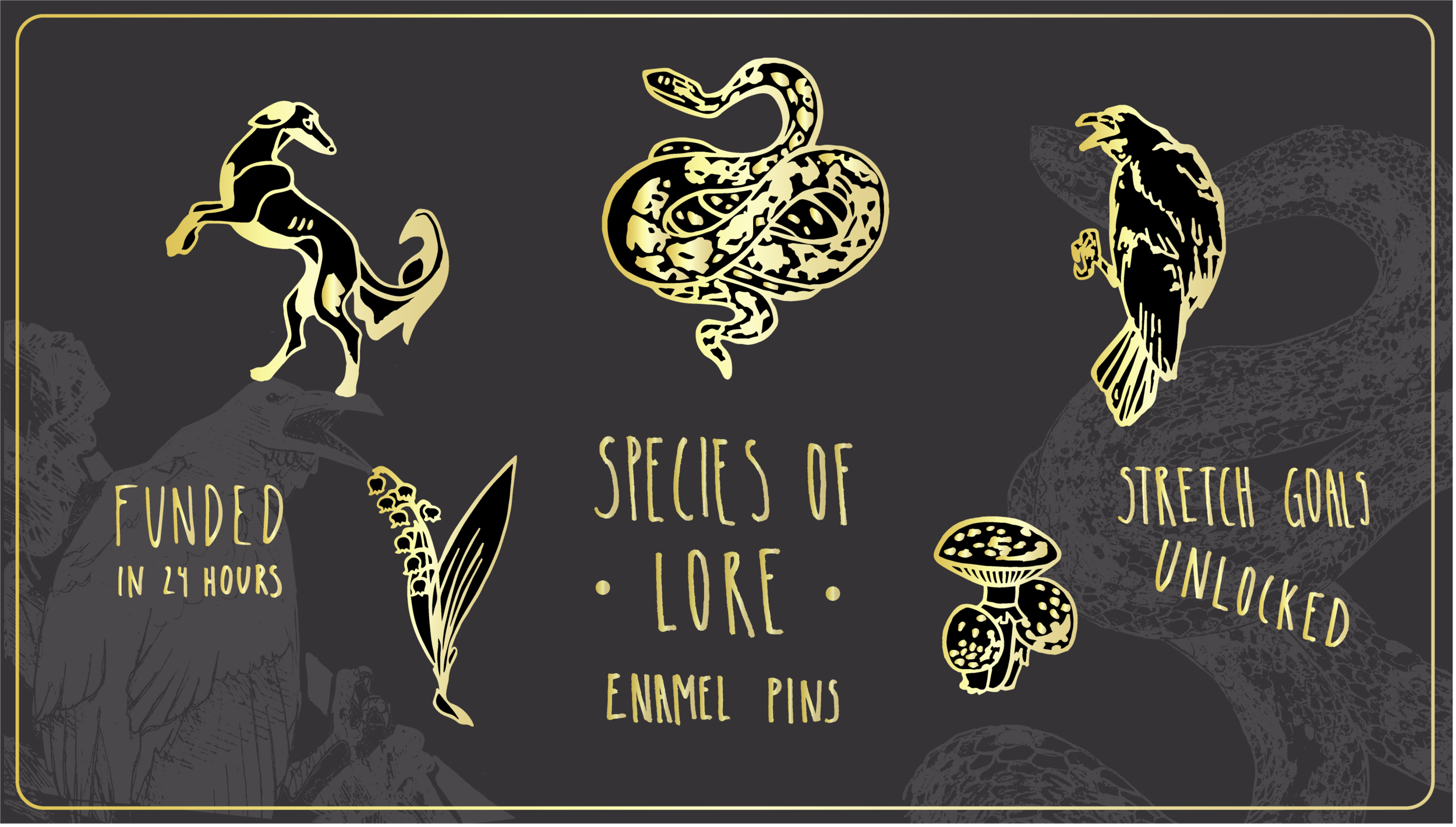 project DONE.png