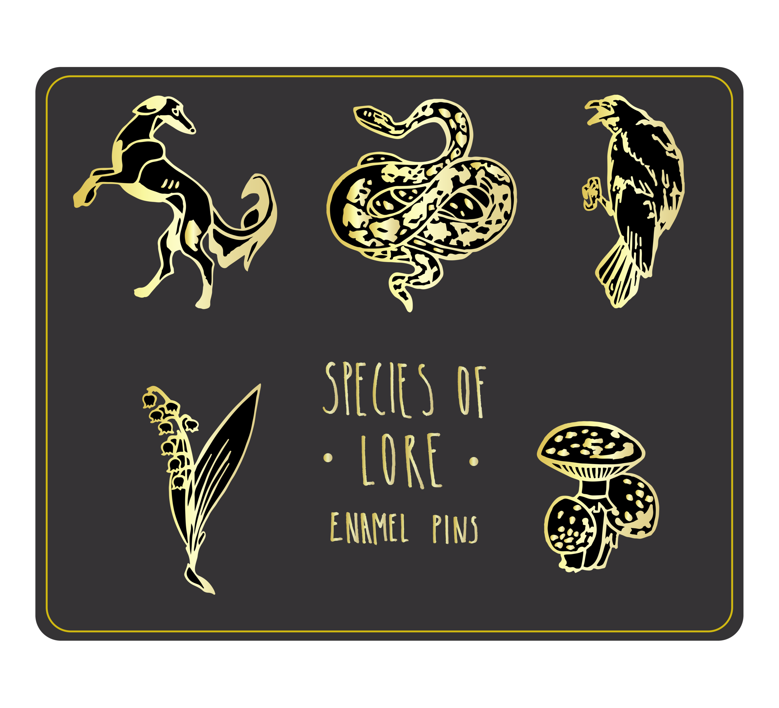 banner.png
