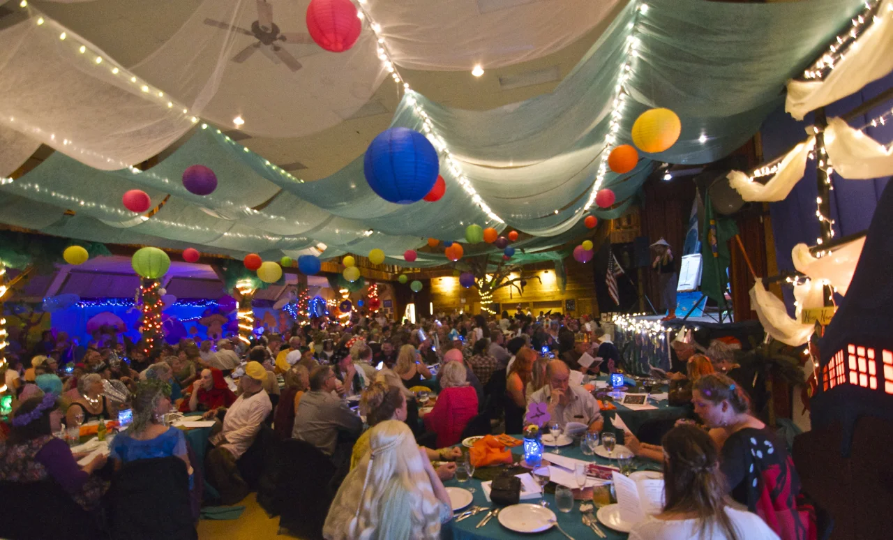 Little Star Montessori School annual fundraising bash, 2017