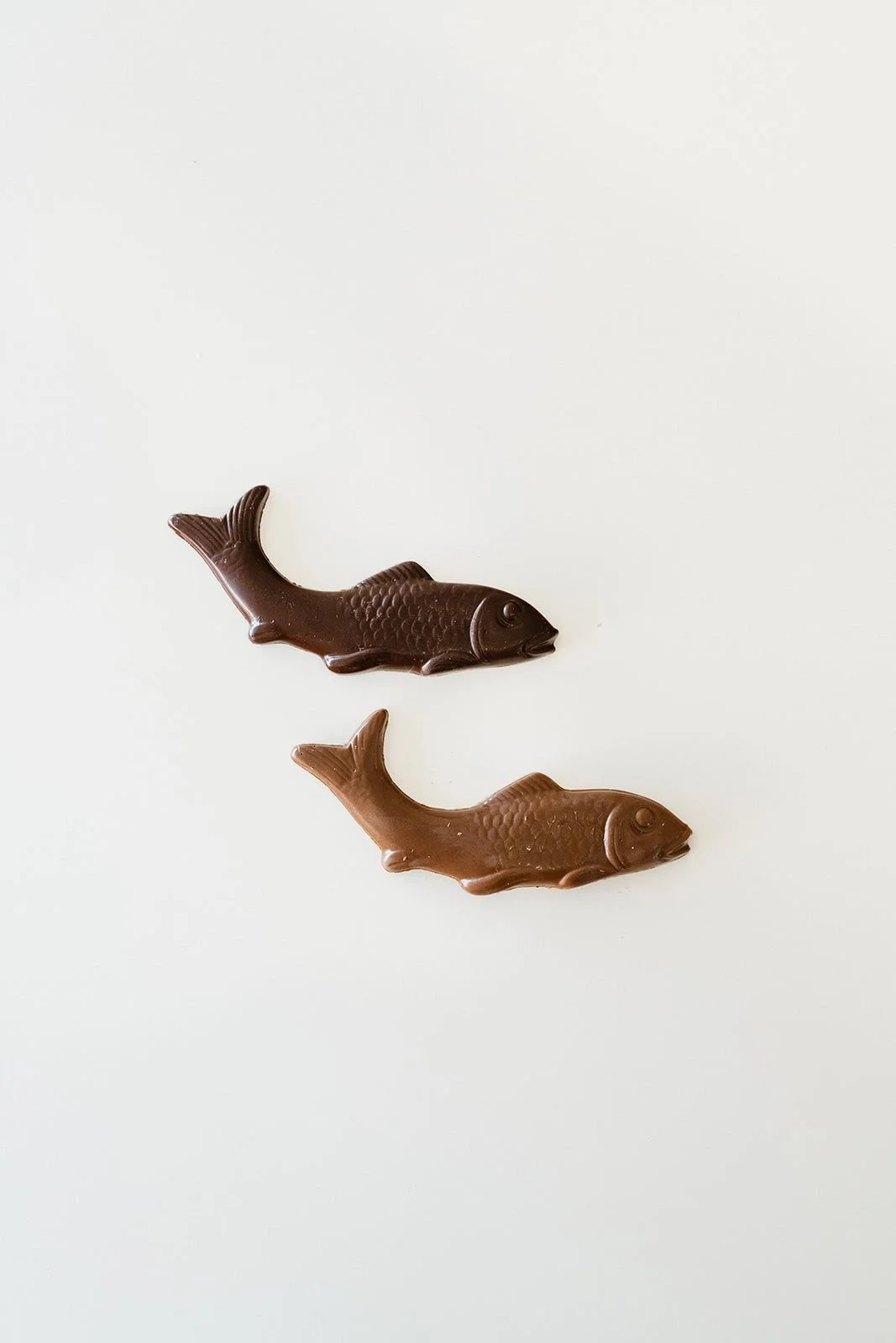 Chocolate Fish
