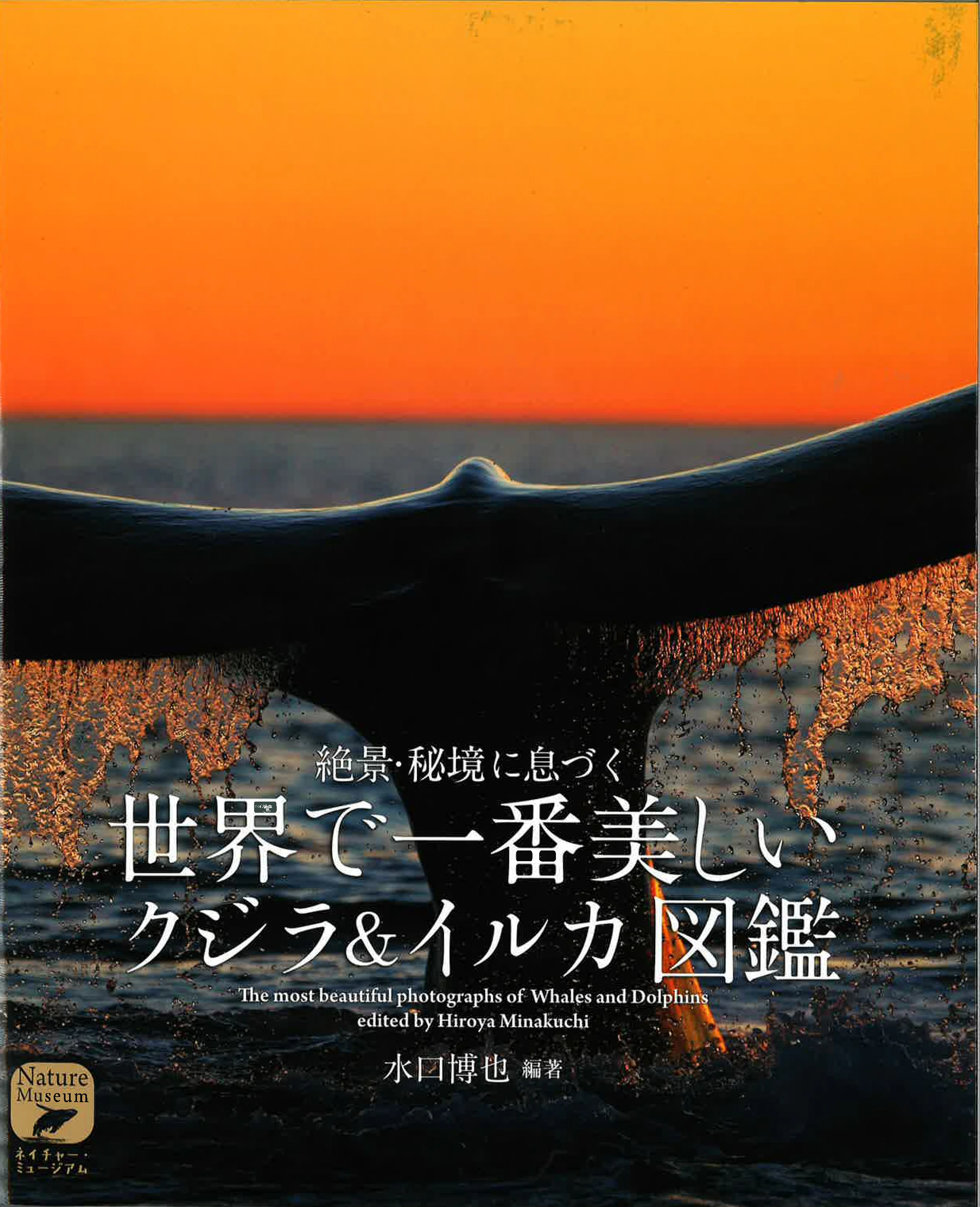 BOOK_WHALE.jpg