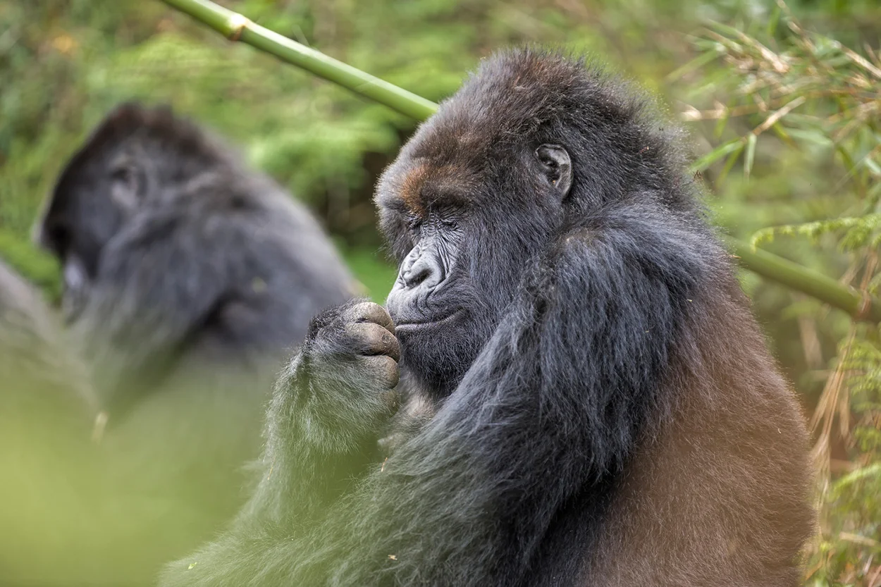 MYNATURE_5J0A0060_FGUERIN.jpg