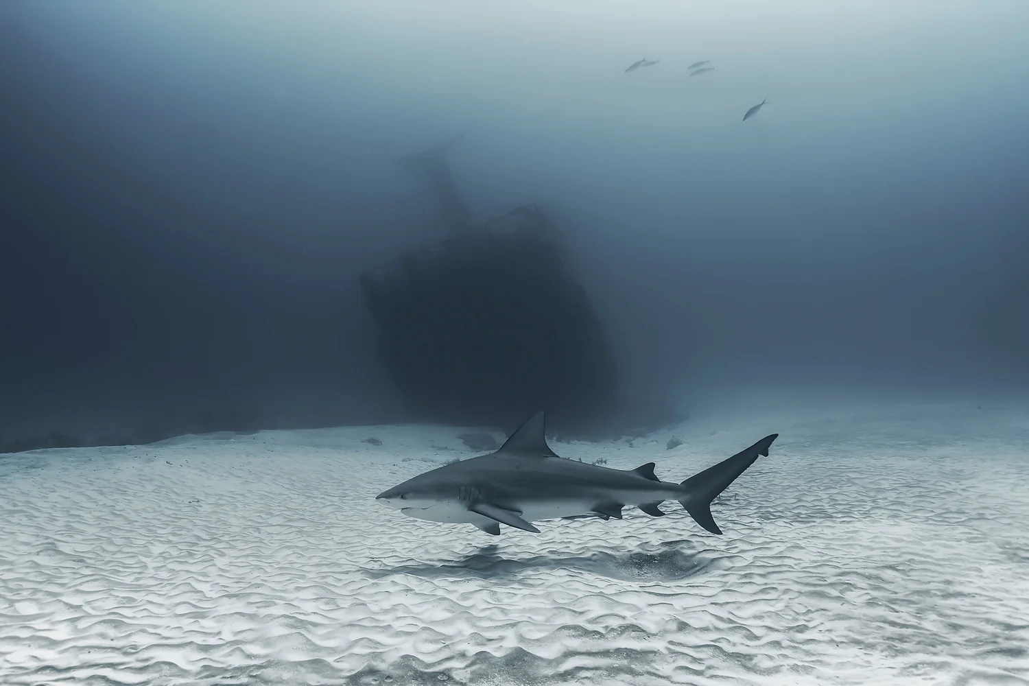 MYNATURE_AP5A1058_FGUERIN.jpg