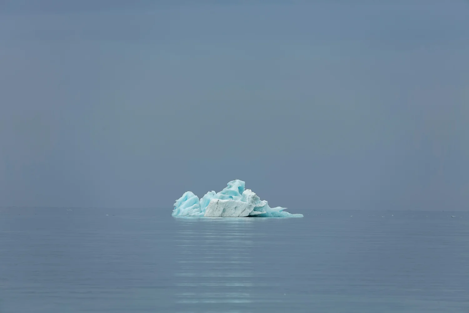MYNATURE_AP5A7035_FGUERIN.jpg