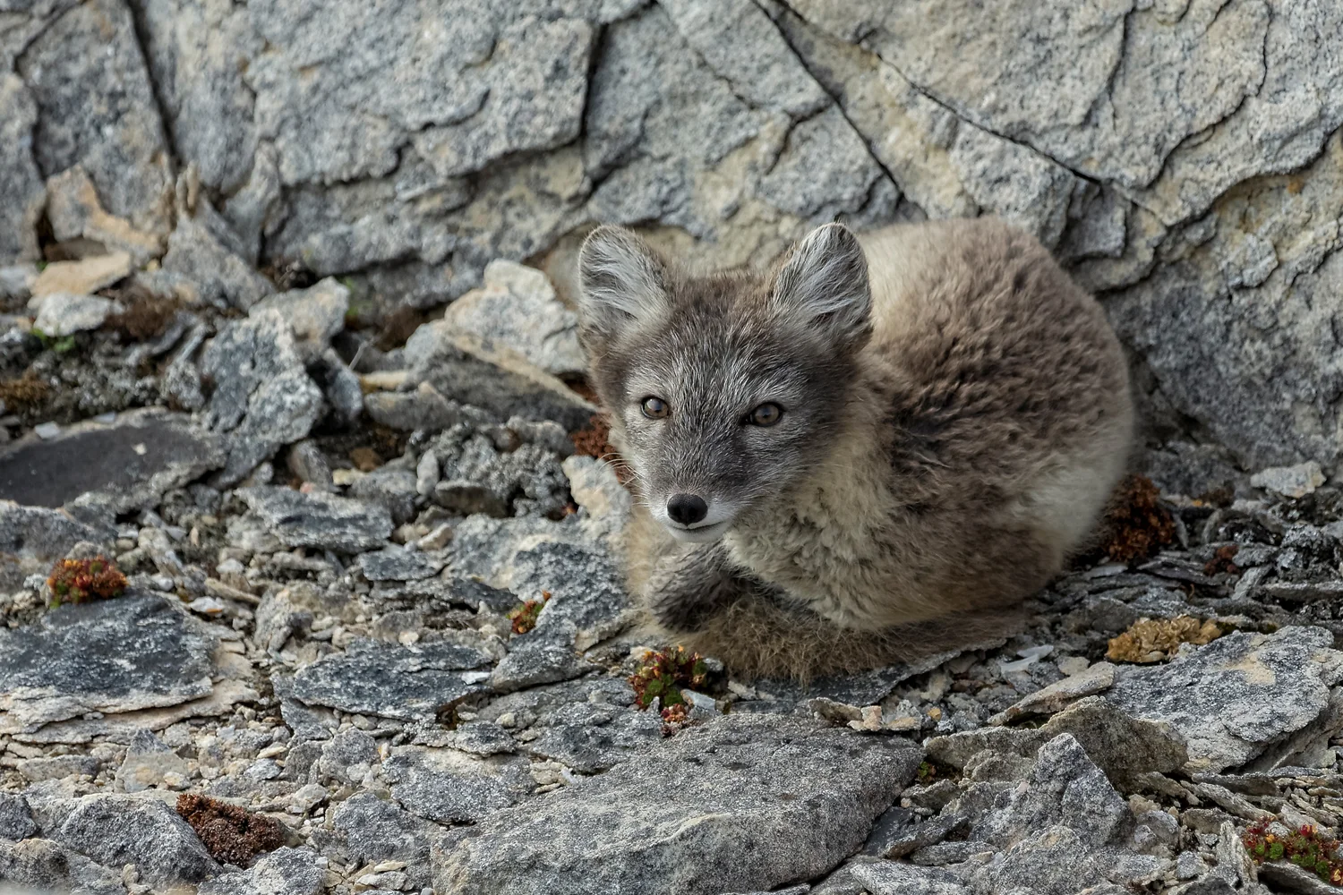 MYNATURE_AP5A7766_FGUERIN.jpg