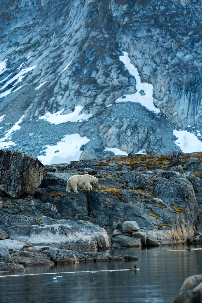 MYNATURE_AP5A9212_FGUERIN.jpg