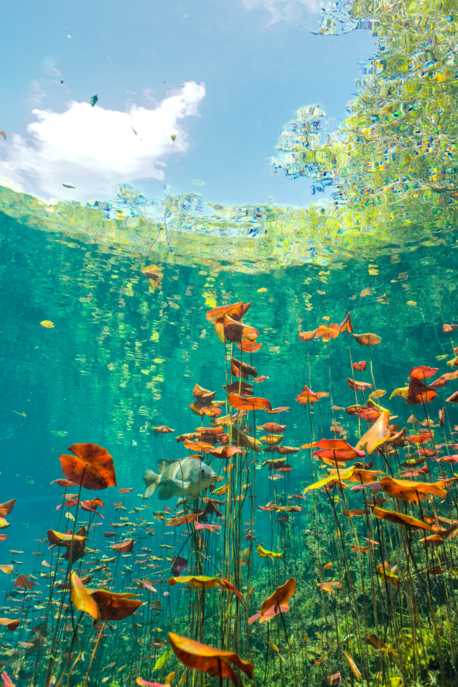 MYNATURE_AP5A0971_FGUERIN.jpg