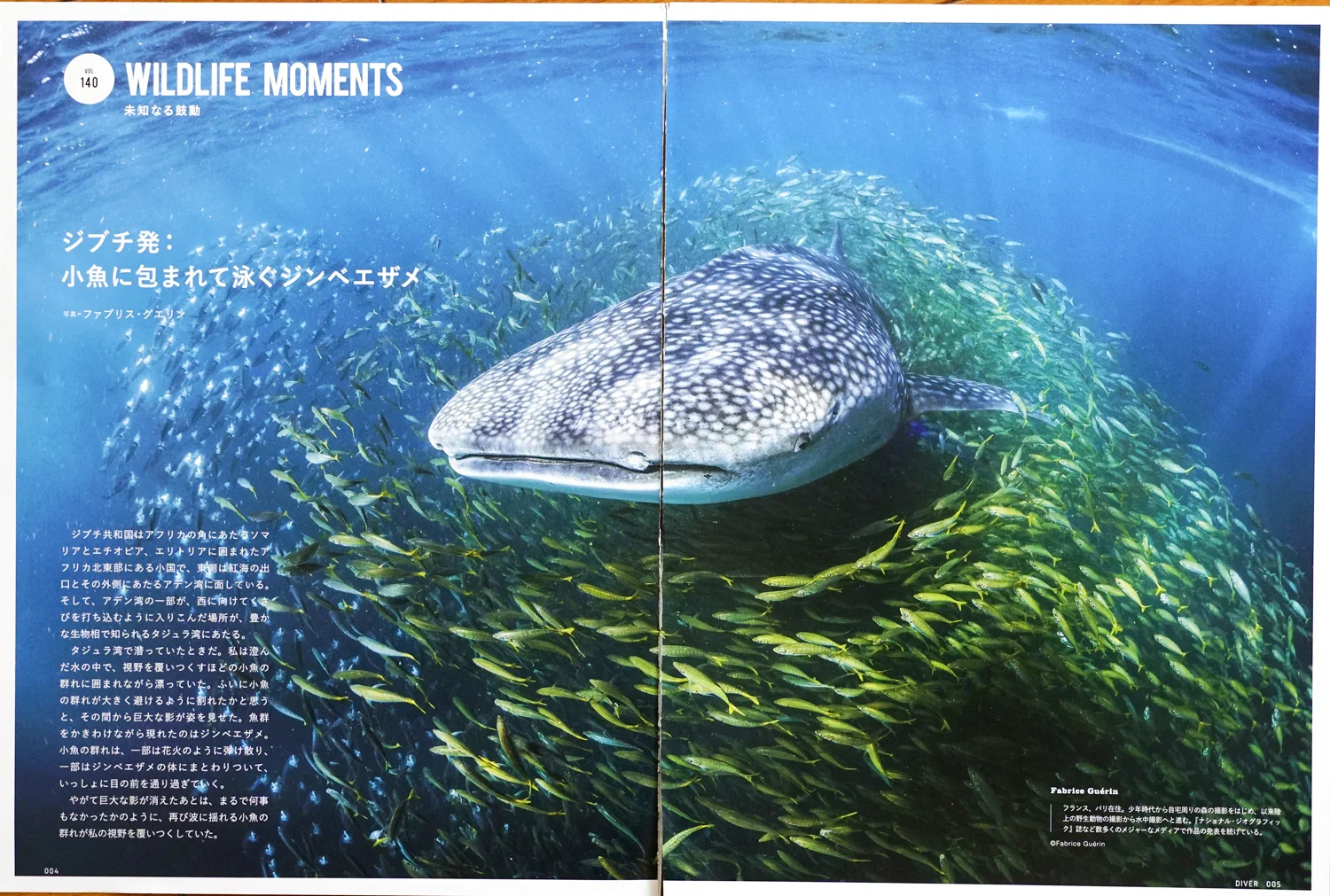 Diver Oct.jpg