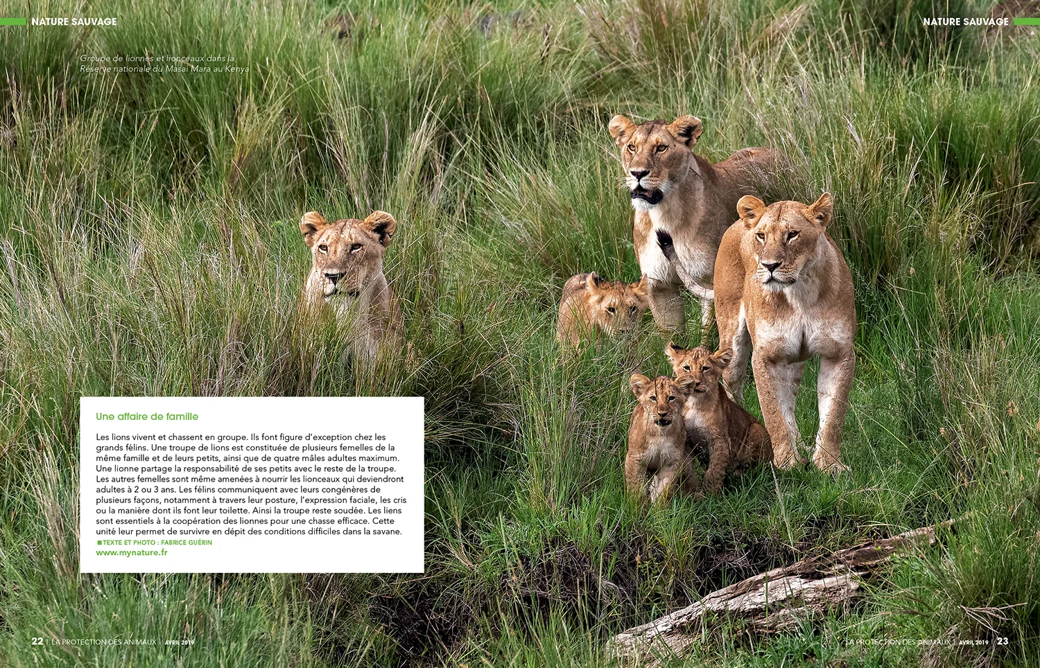 SITE_SPA_Protection_240_avril2019_NatureSauvage (1).jpg
