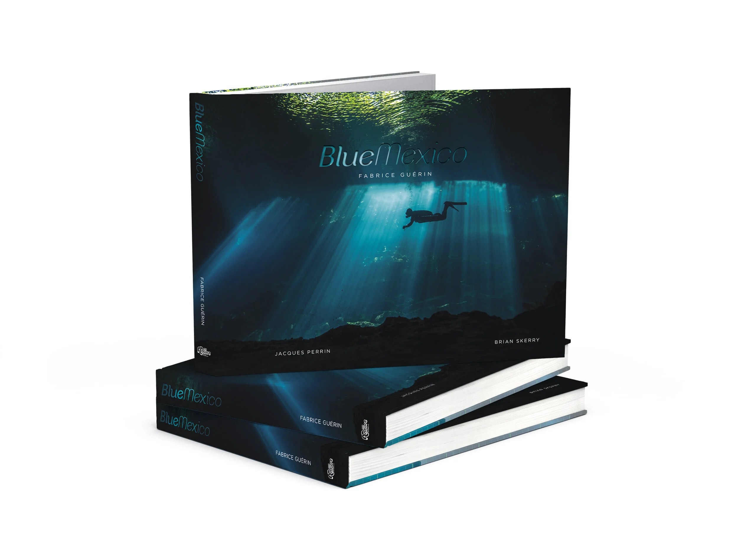 BLUEMEXICO_BOOK_PILE_FER A CHAUD.jpg
