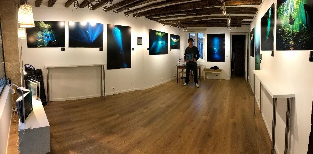 Au cœur de la forêt Maya