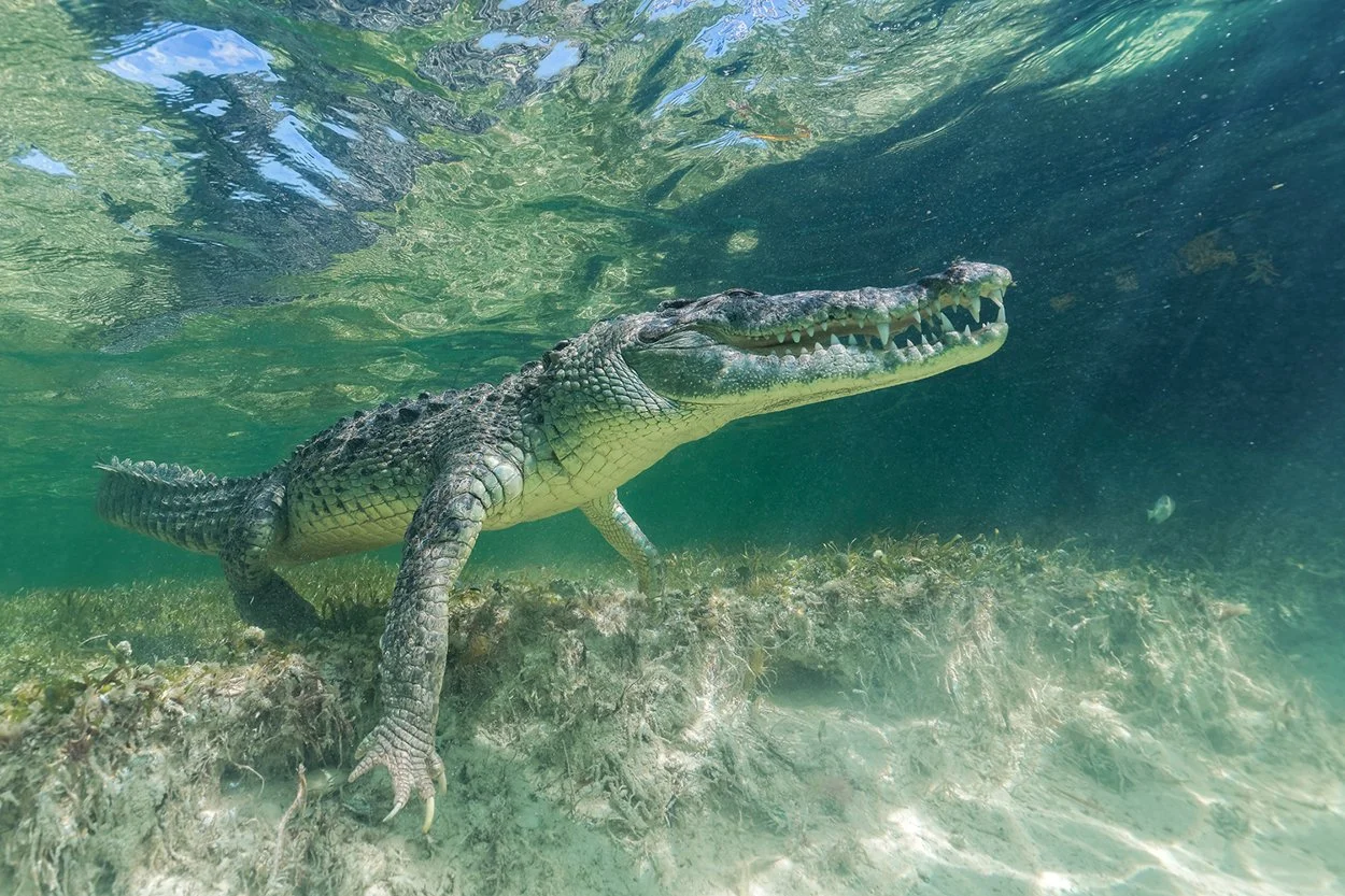 MYNATURE_AP5A3231_FGUERIN.jpg