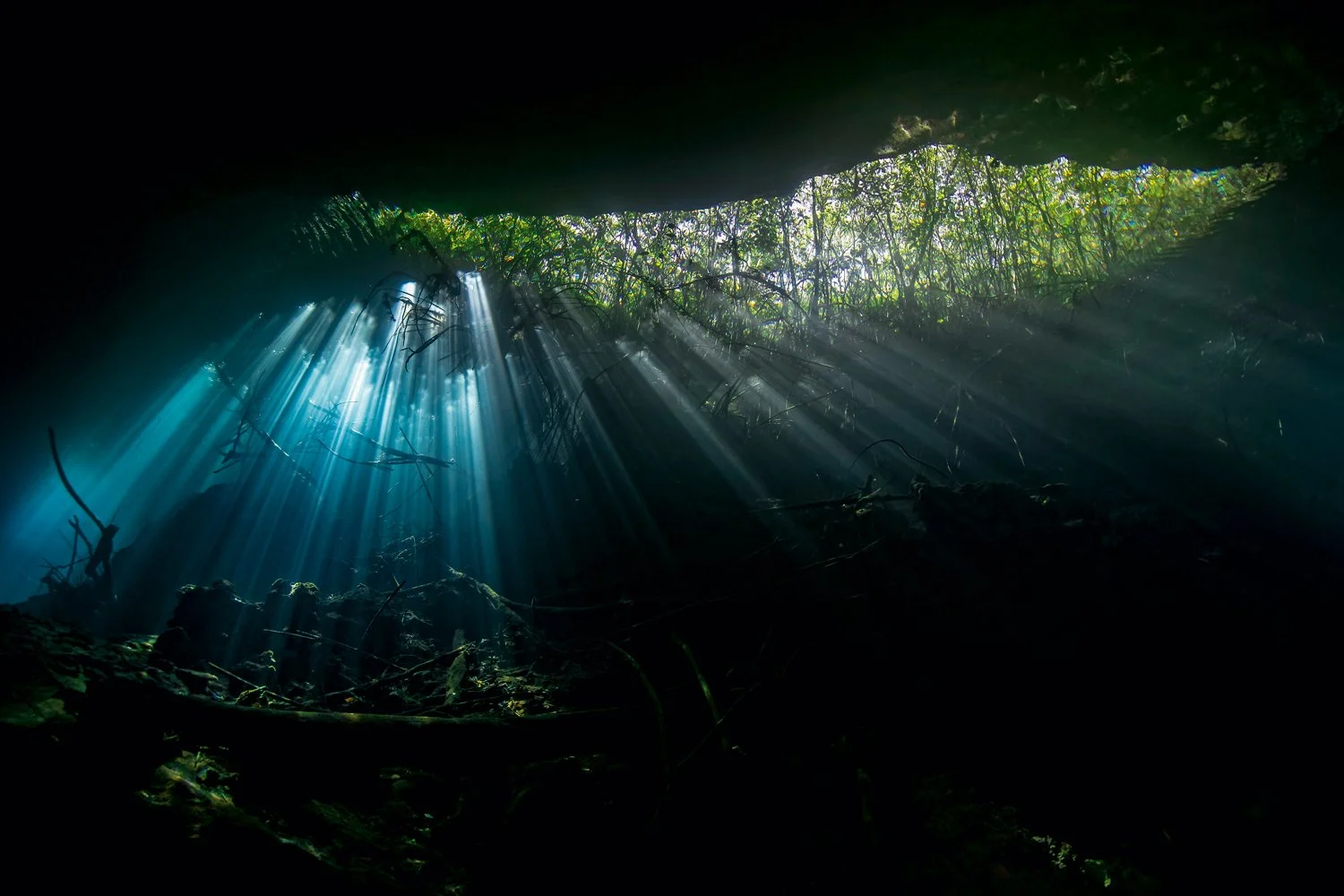 MYNATURE_AP5A9328_FGUERIN.jpg