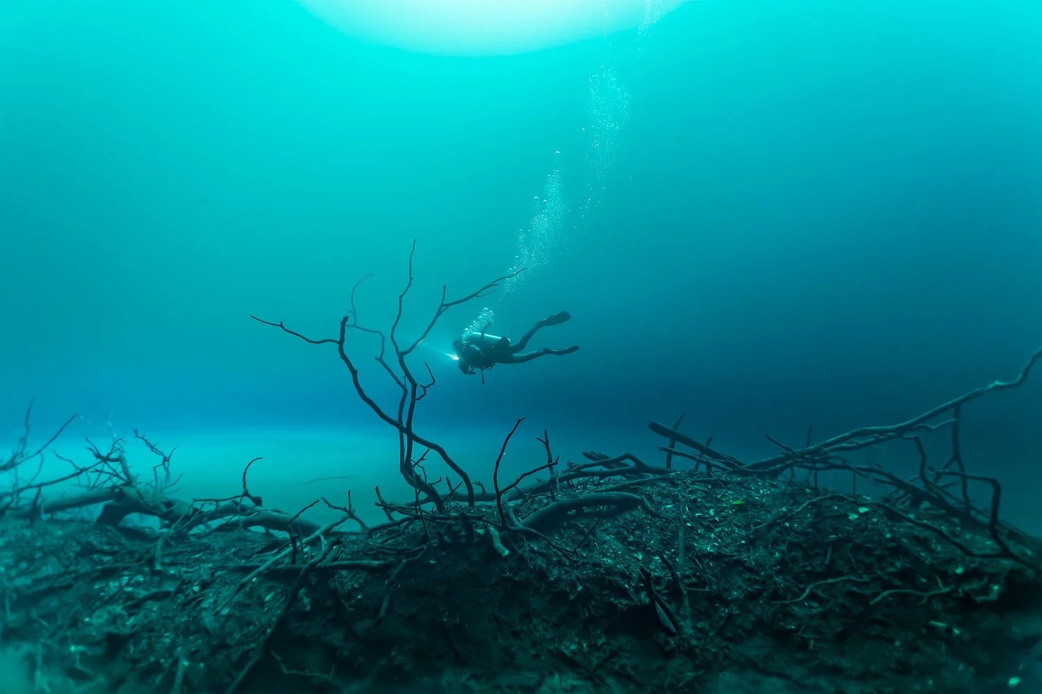 MYNATURE_AP5A8315_FGUERIN.jpg
