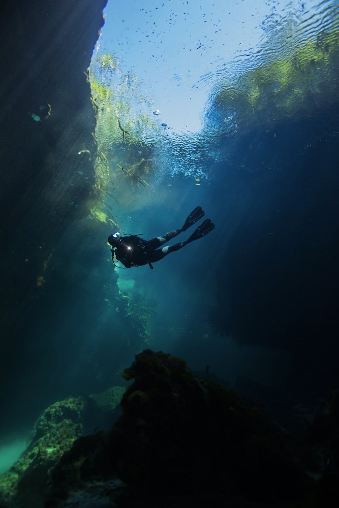 MYNATURE_AP5A9524©FGUERIN.jpg