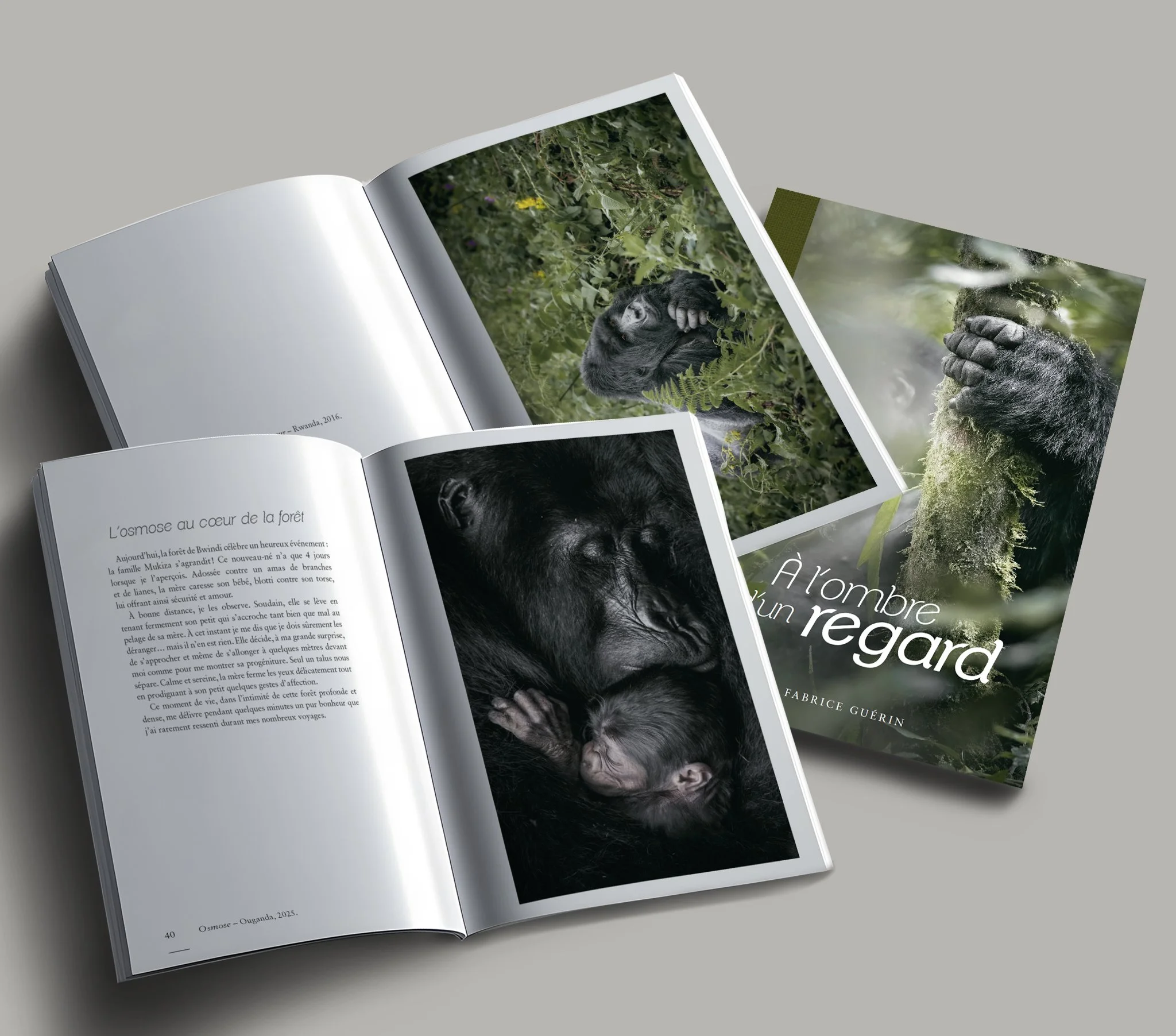 À L'OMBRE D'UN REGARD