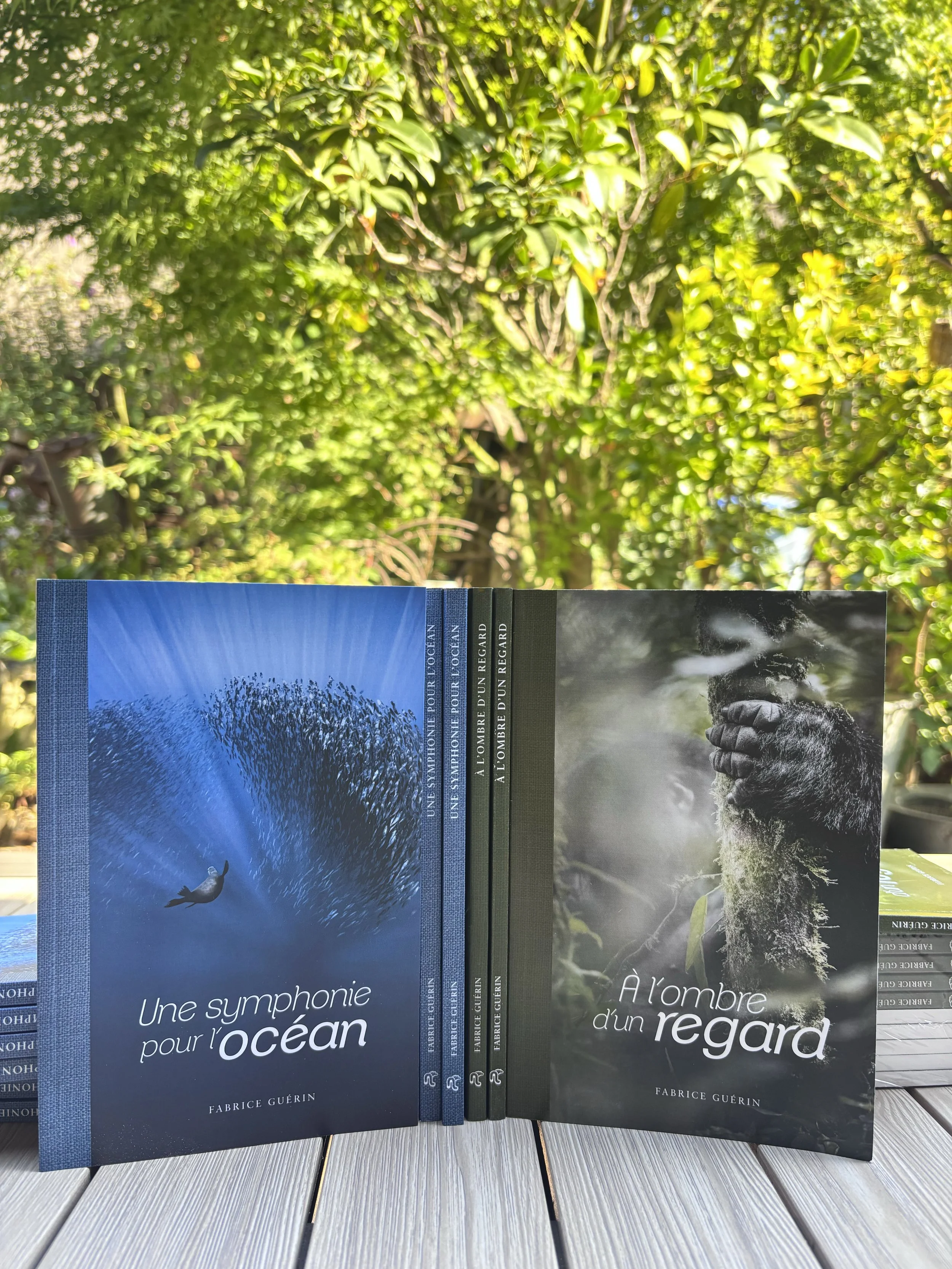 LIVRES POCHE_COLLECTION.jpg