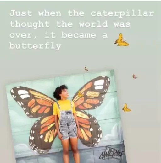 The Butterfly Life of Wings