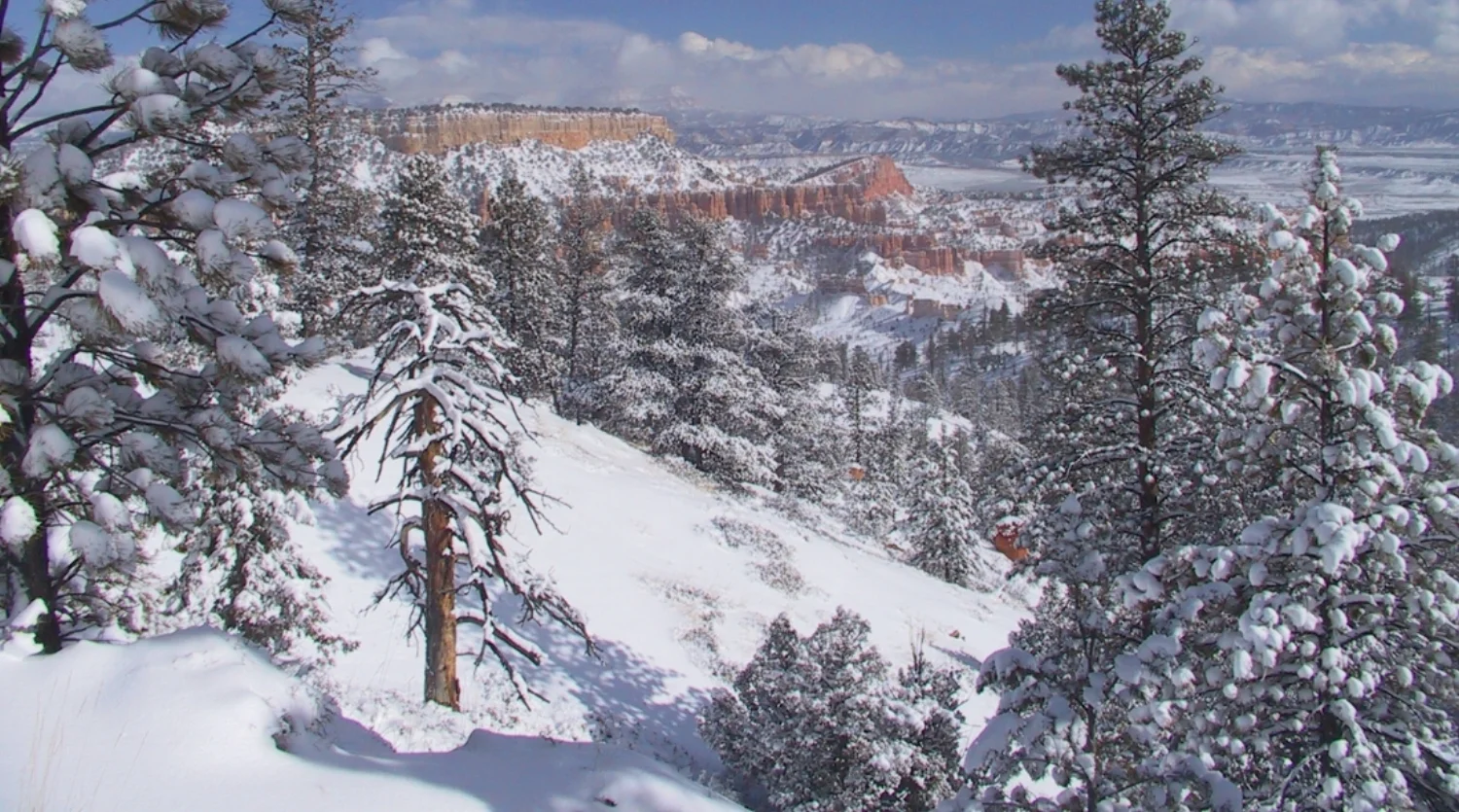 Bryce Canyon Winter.jpg