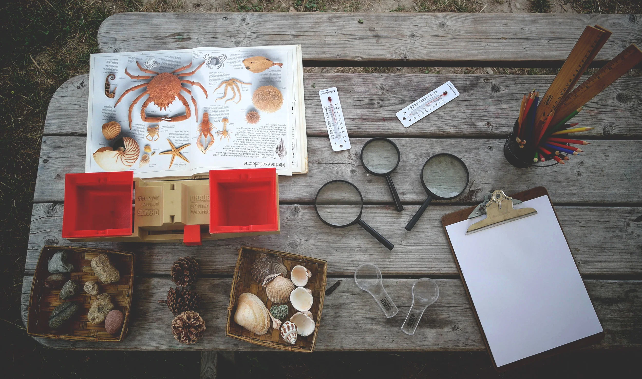 learning is always experiential