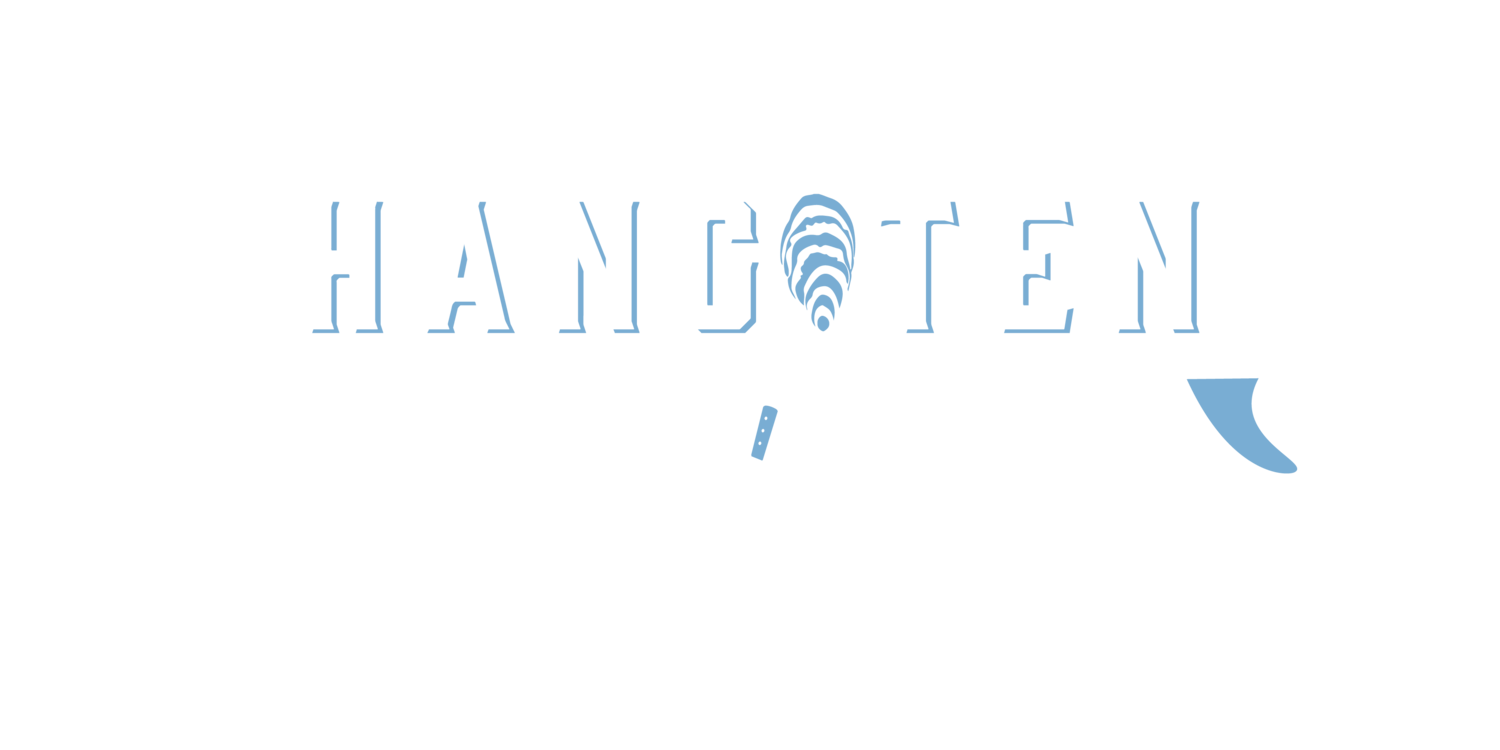 Hang Ten Raw Bar