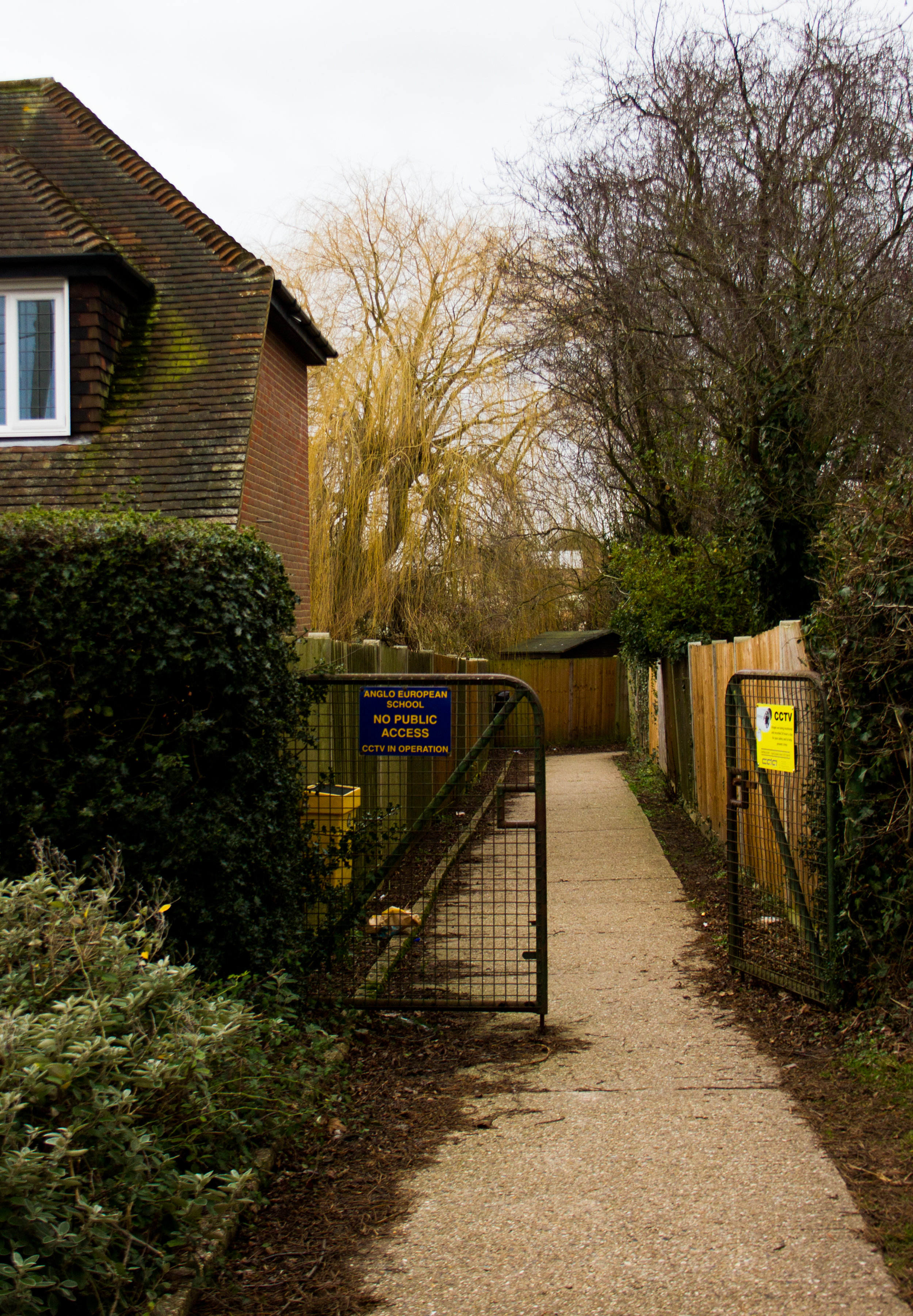 The Anglo European Language Academy, Ingatestone, February 2018 -