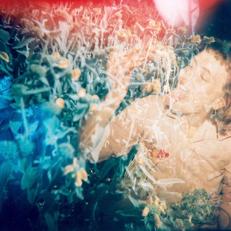 tumblr_opnesbfrNv1rl8c75o1_1280.jpg