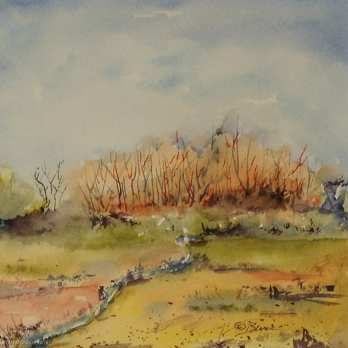 Kiowa Cottonwoods
