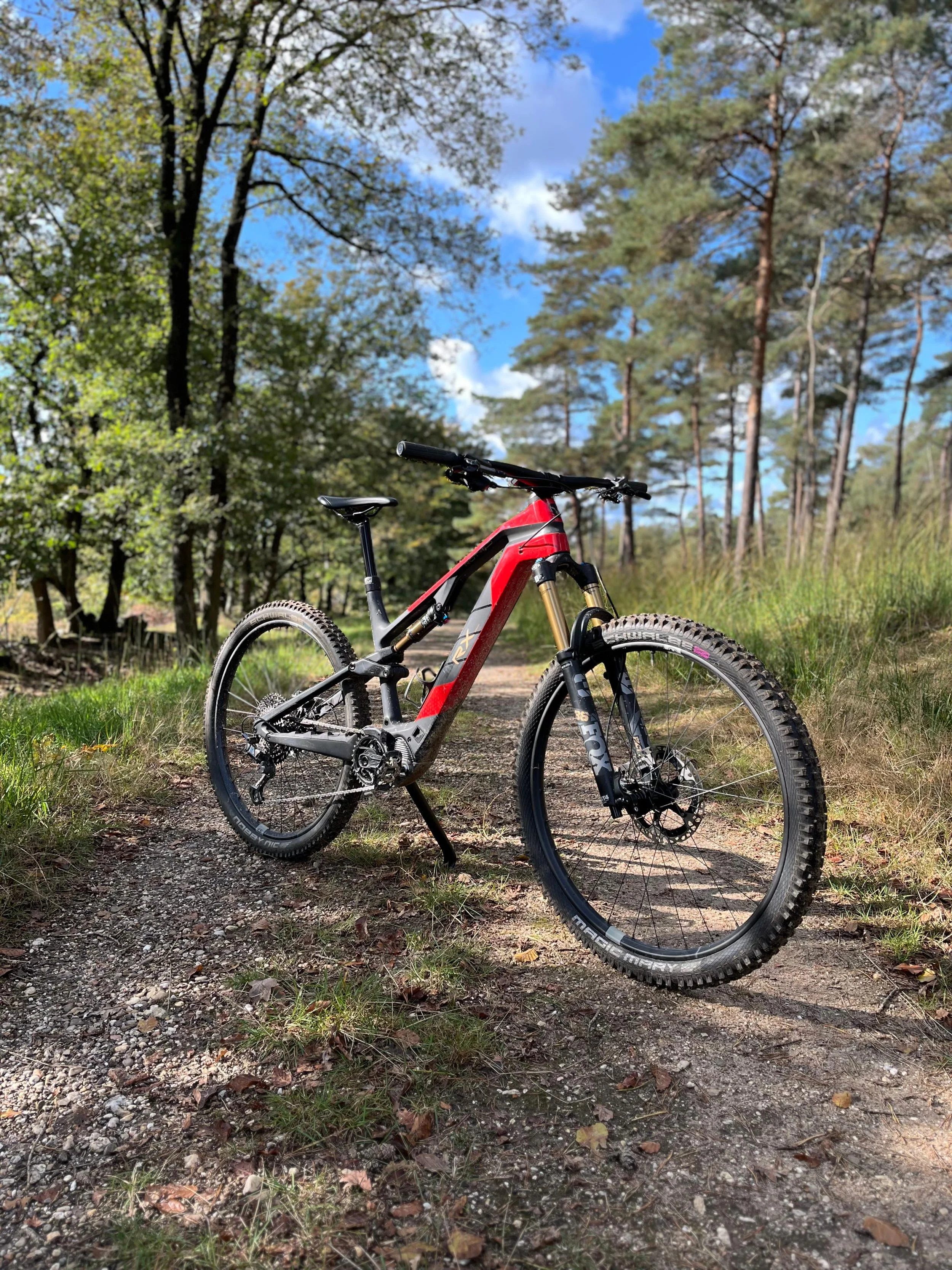 Rotwild RX375.jpg