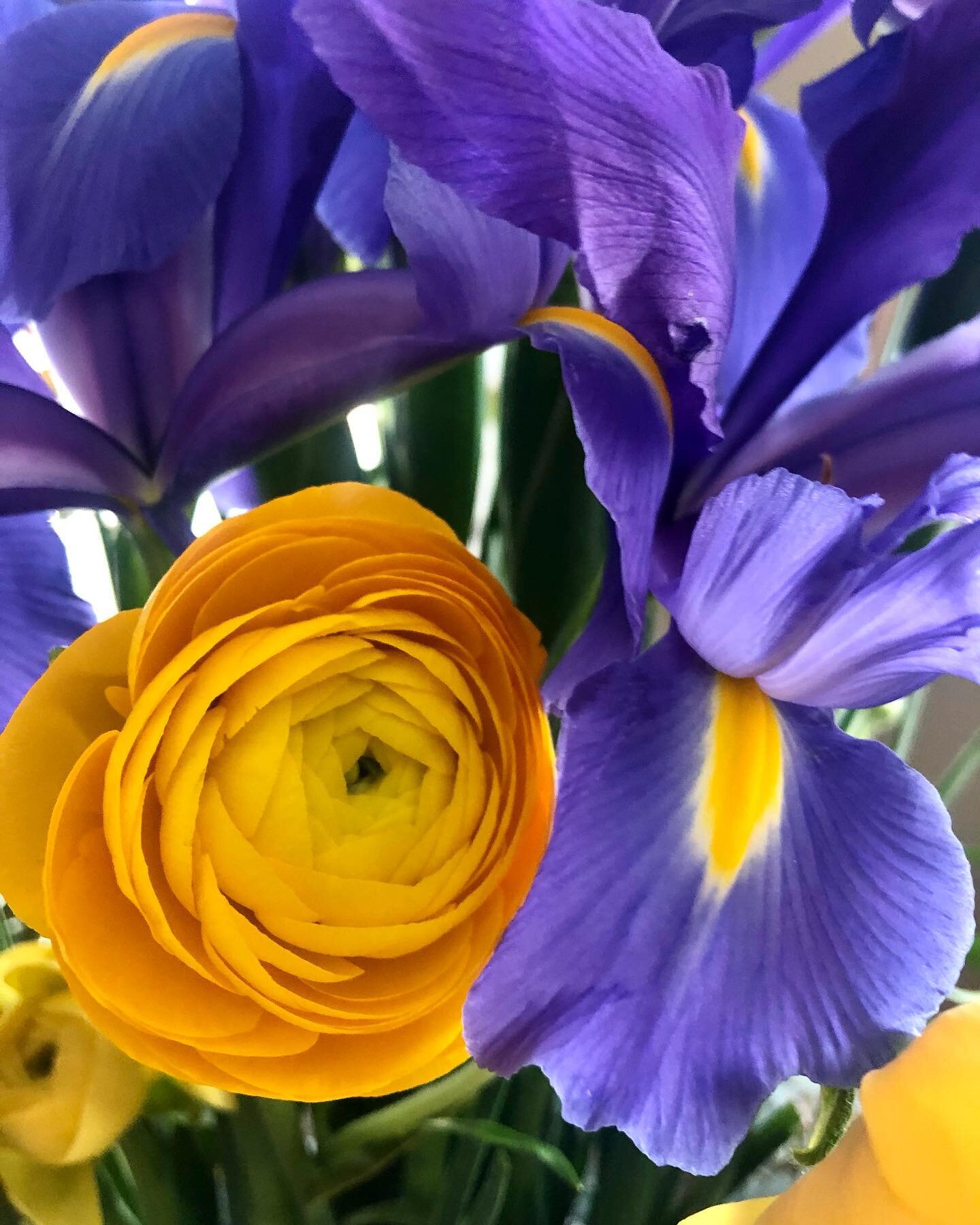 Flower power 🌼💜

*
#flower #purple #yellow #home #goodvibes #details #lifestyle #myshortstory #sillygirlsandra