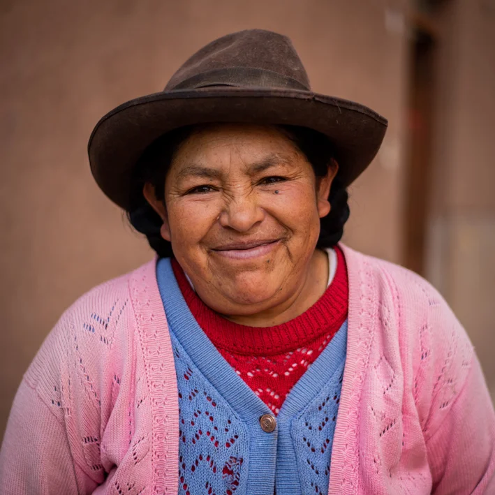 Dominga, Campus Cook