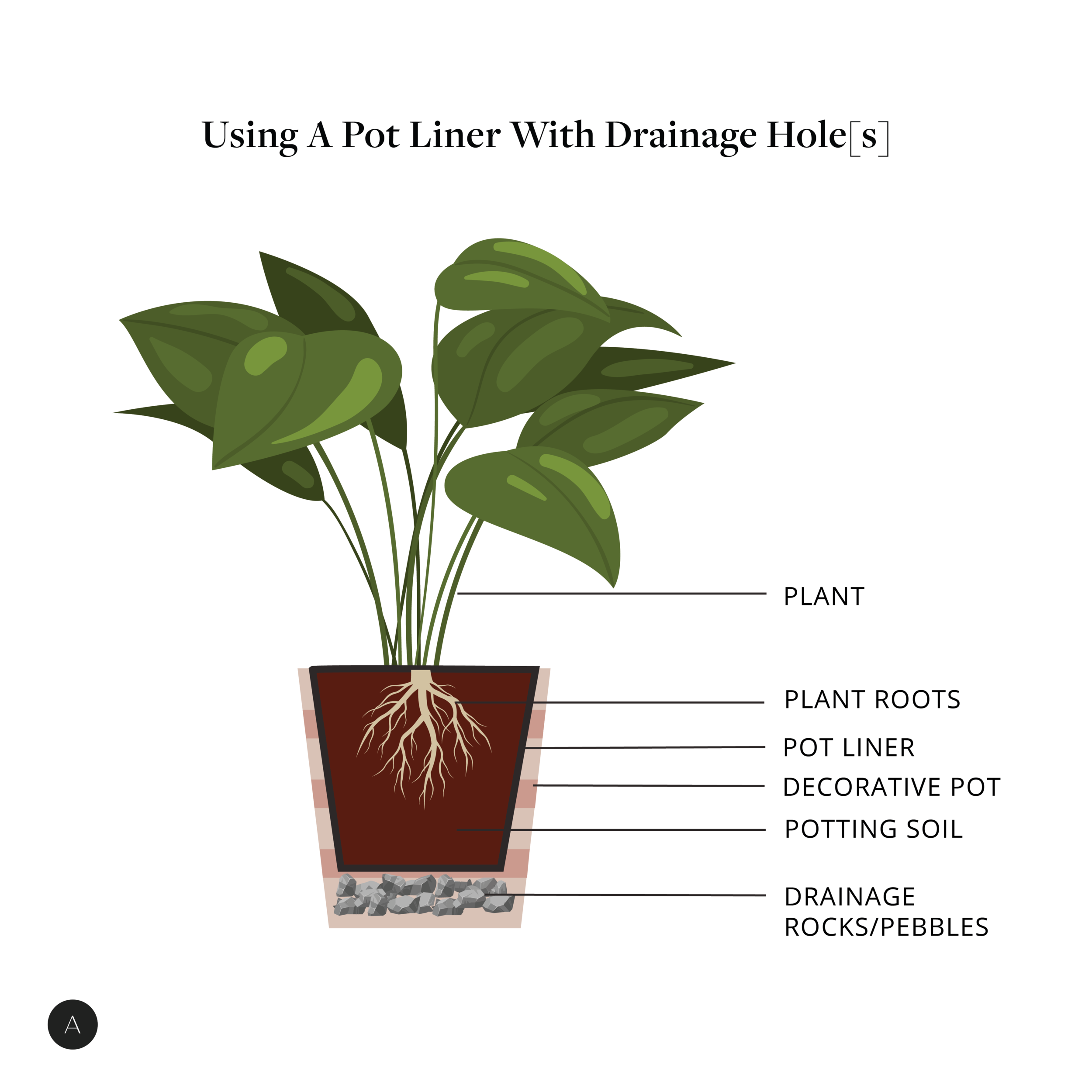 aristos_indoorplant-03.png