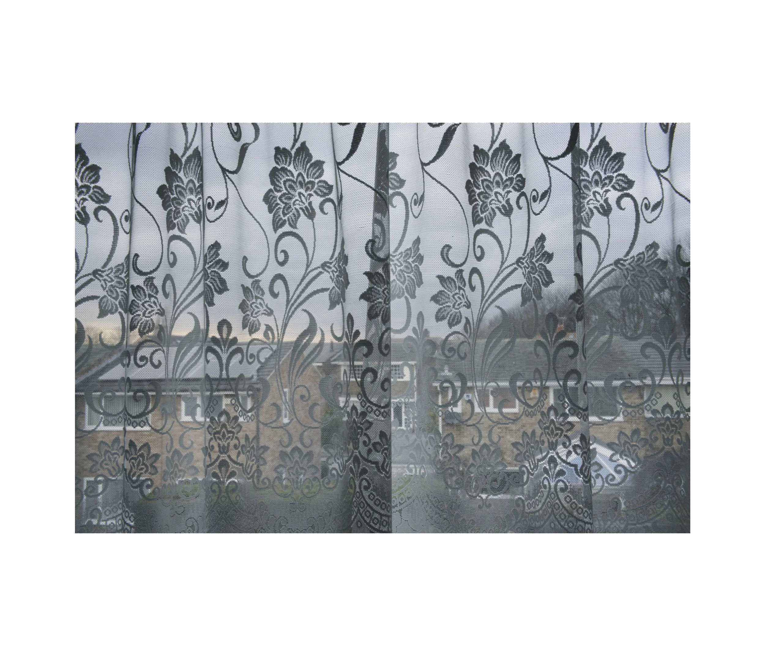 Patterned net curtain close to the lens; rooftops.