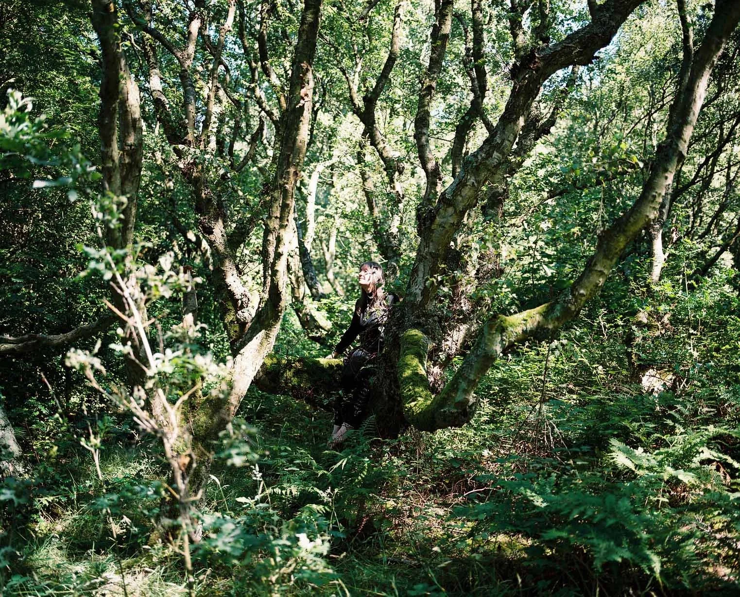 Woman sitting on a fallen tree, surrounded by ferns and trees.