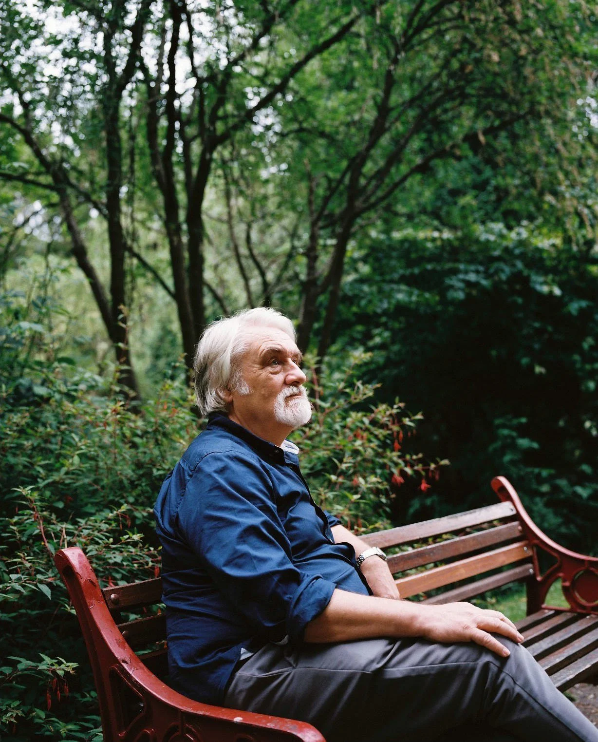 Man with a white beard sitting on a park bench, looking up at trees.
