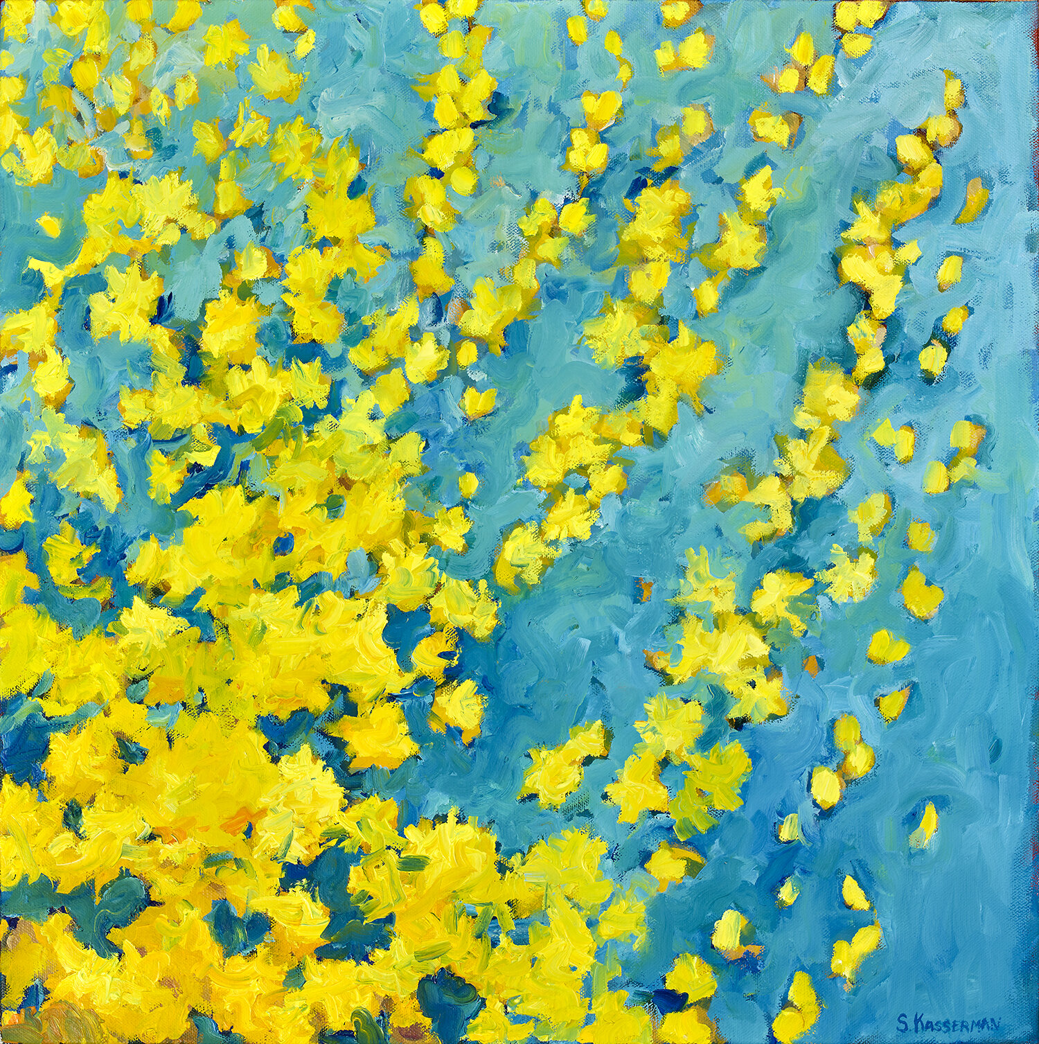 Forsythia