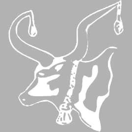 Partners Healthcare article about Daniel Bul