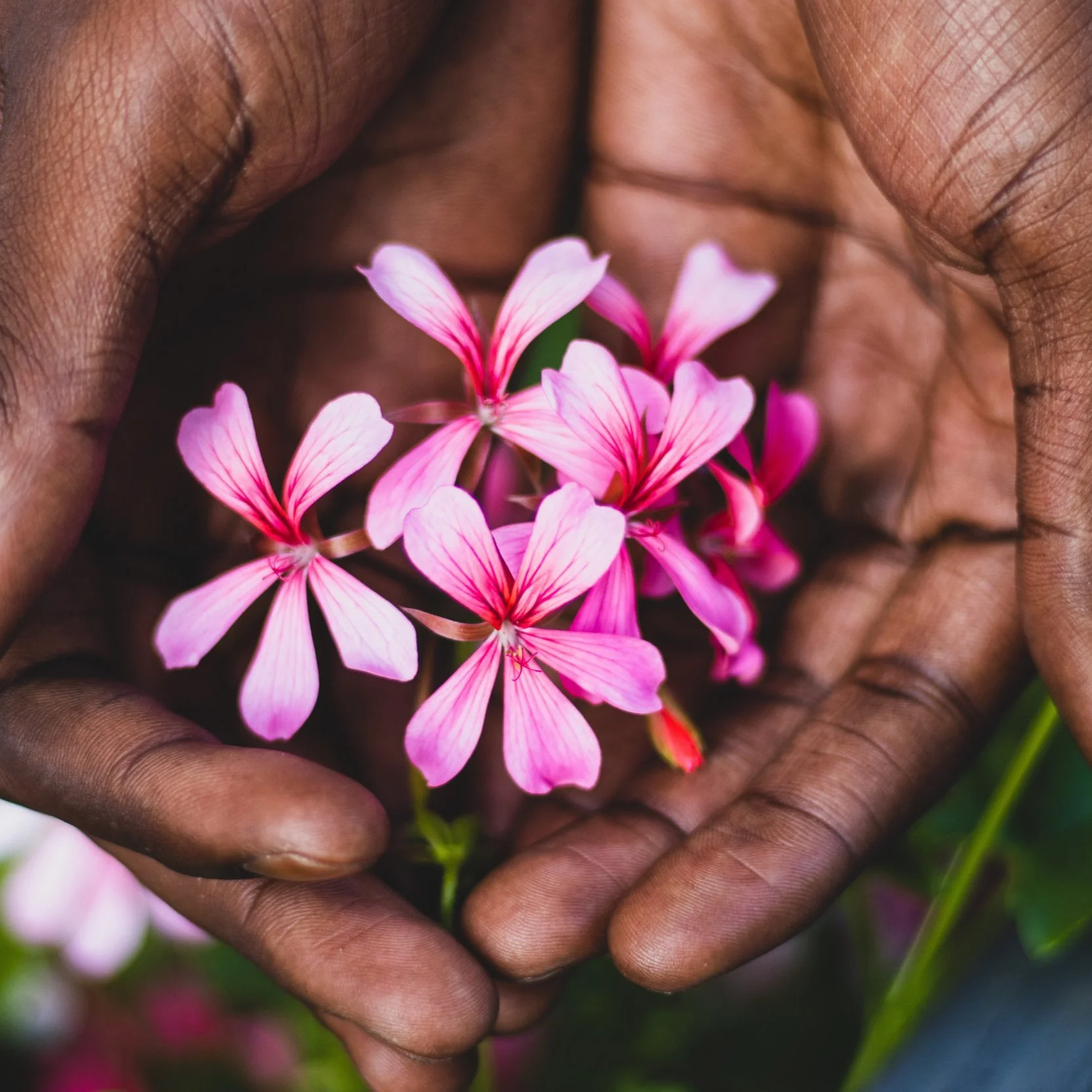 Summer is Here with SSEF Successes to Share