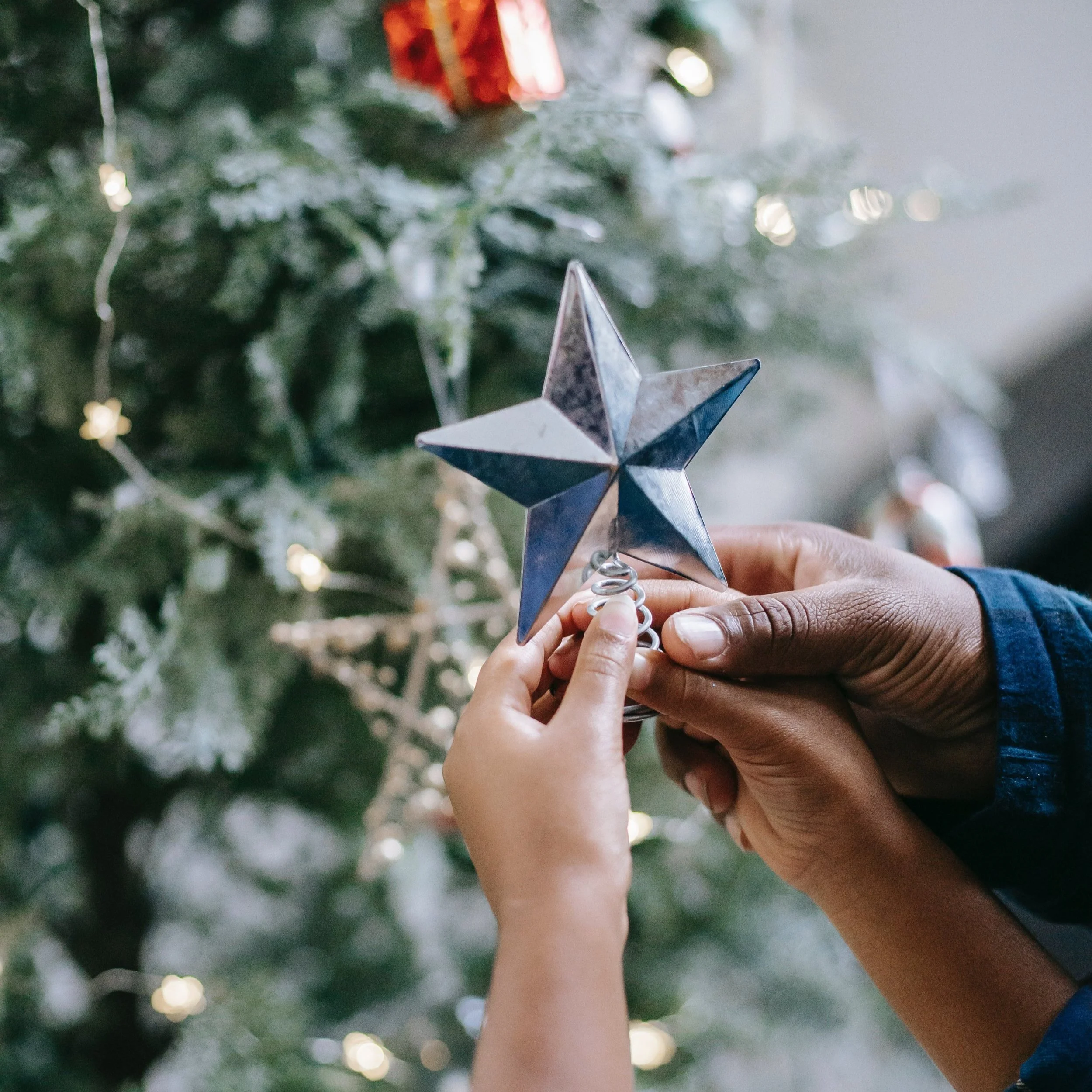 SSEF 2022 Year in Review: 