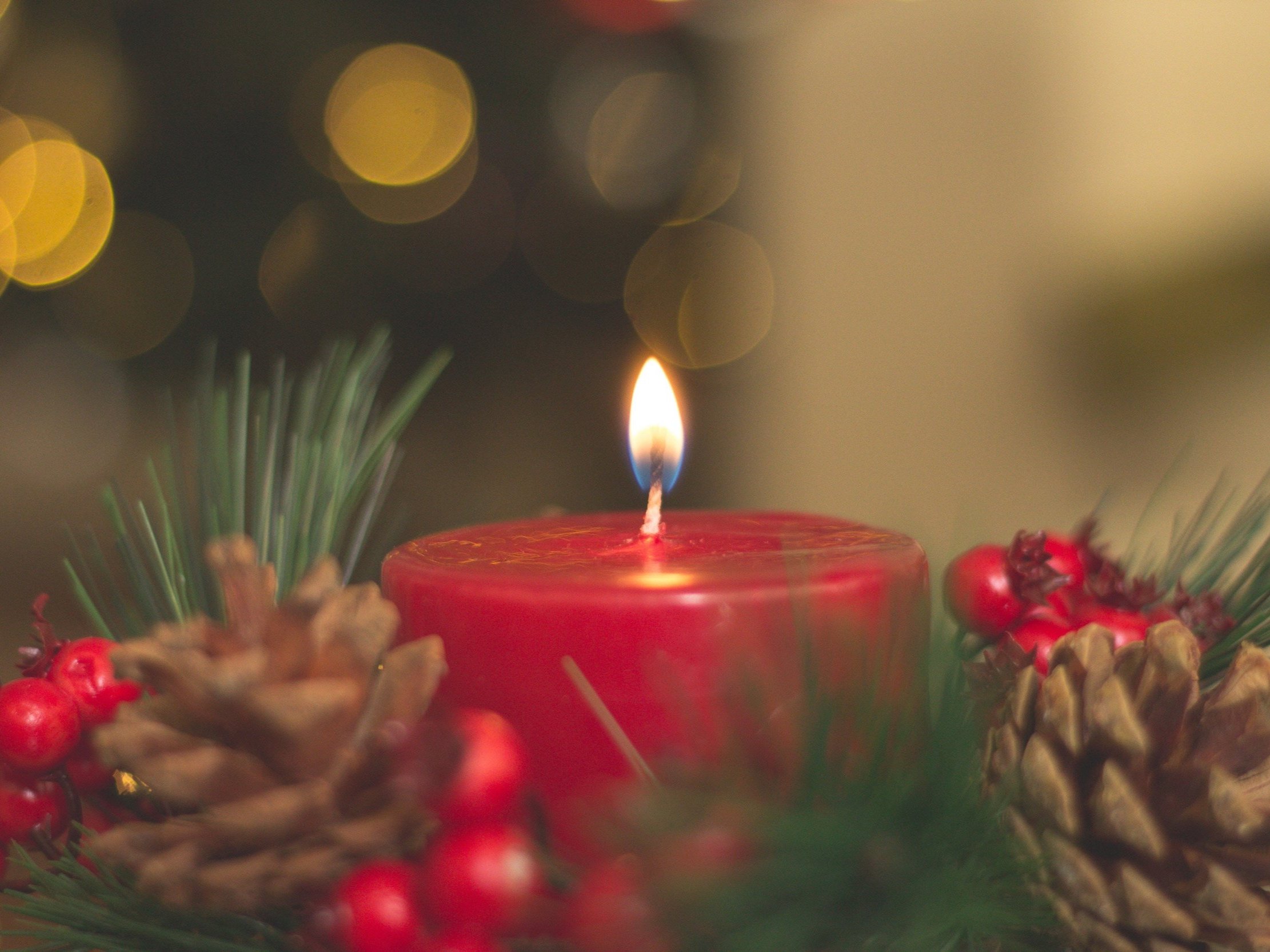 Happy Holidays!