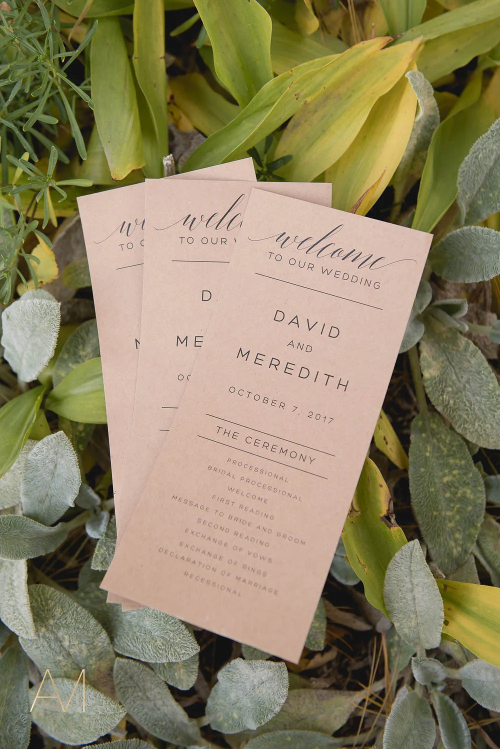 Wedgewood in Boulder, Colorado Mountain Canyon Wedding Photographer