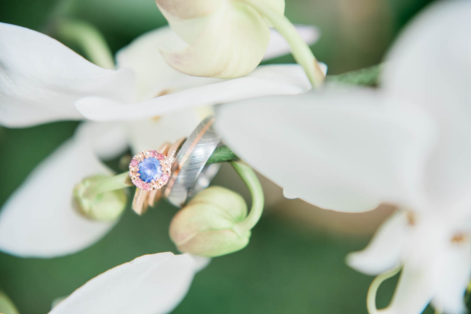 Wedding Rings and white orchids