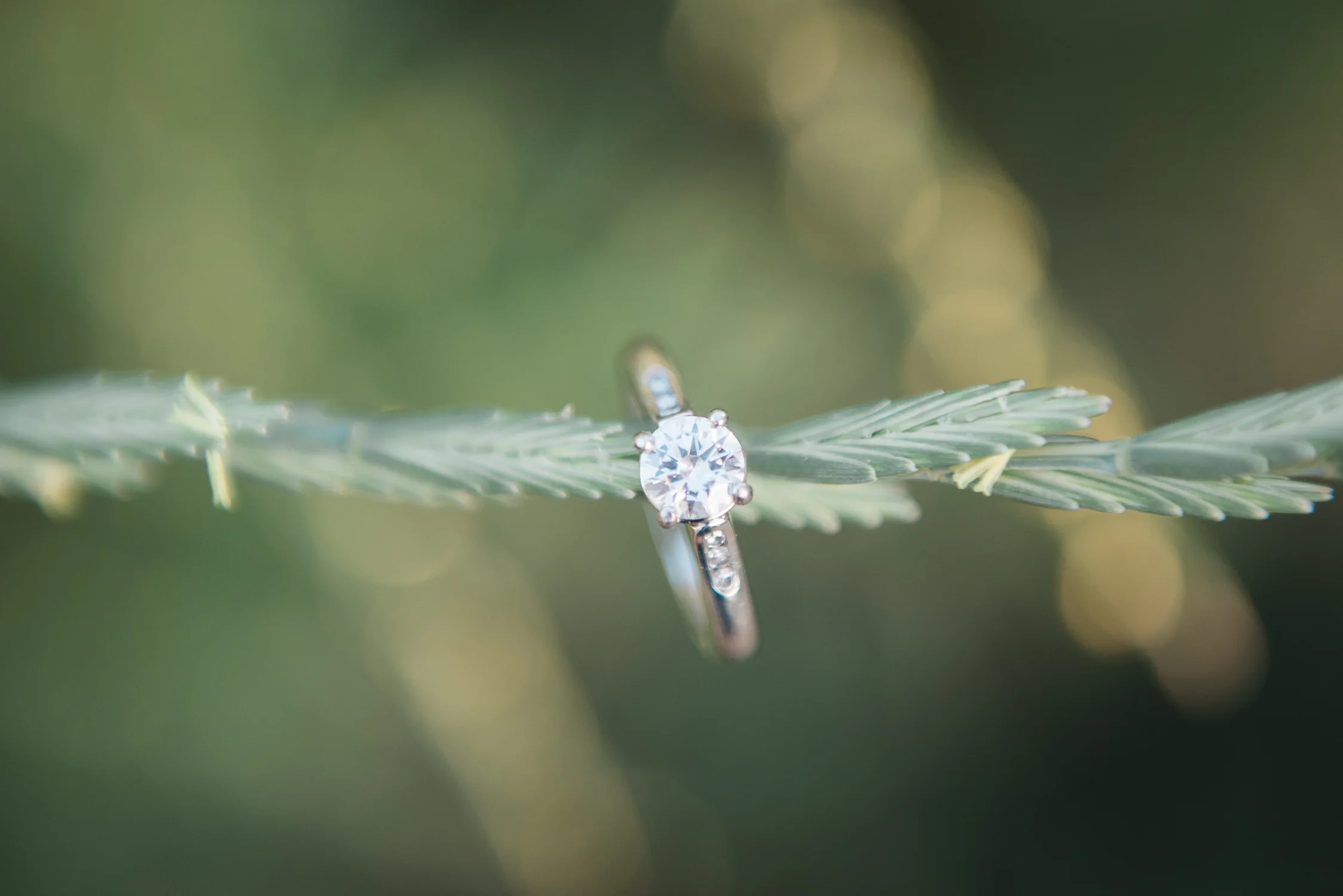 AshleighMillerWeddingPhotographer-Colorado-1265.jpg