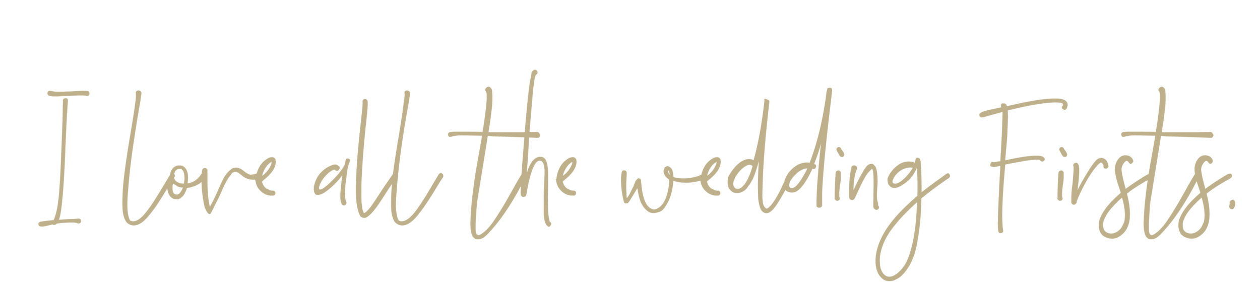 iloveallweddingfirsts.png