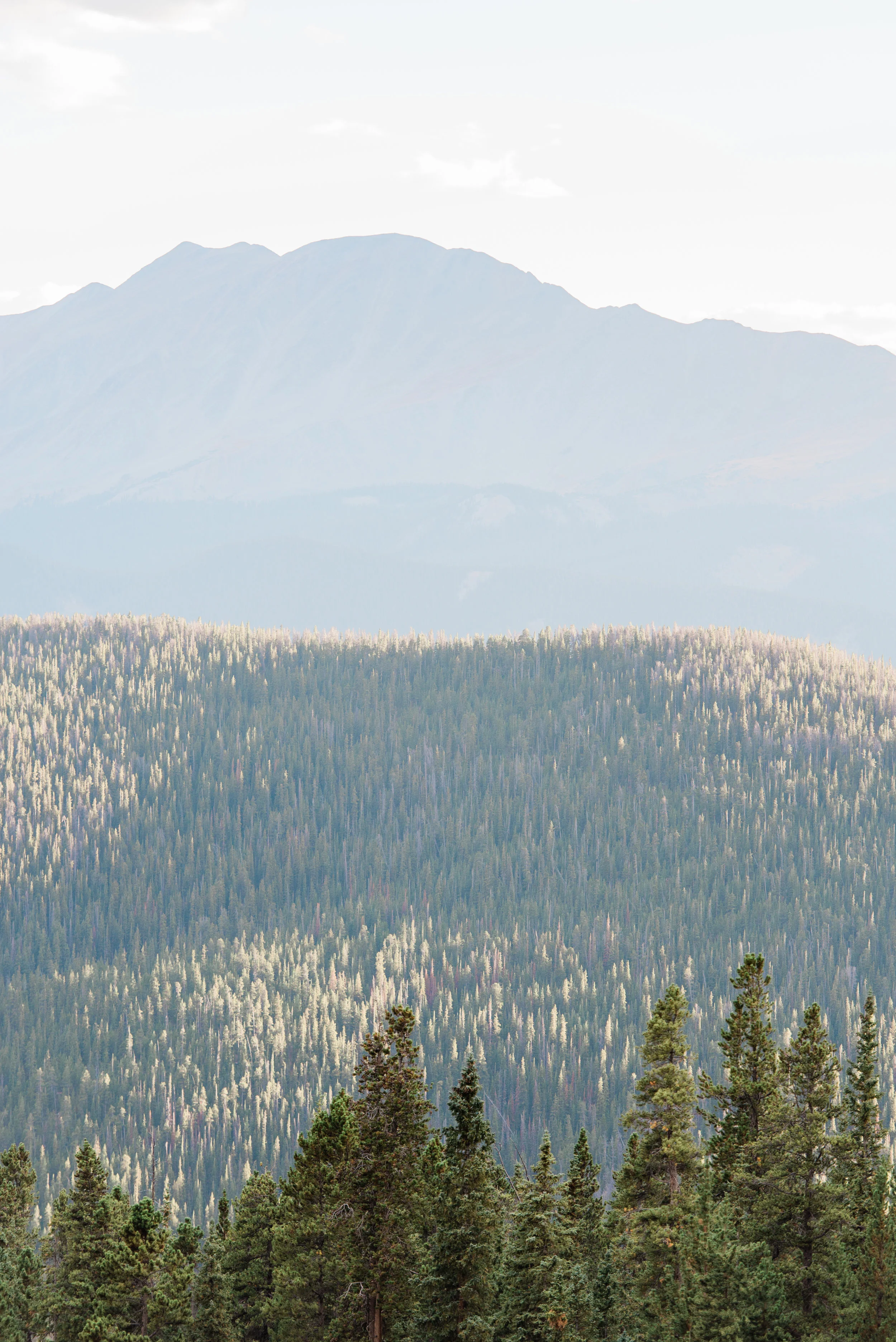 2018-09-18-SimplyLove-DawnPaul-Keystone-1623.jpg