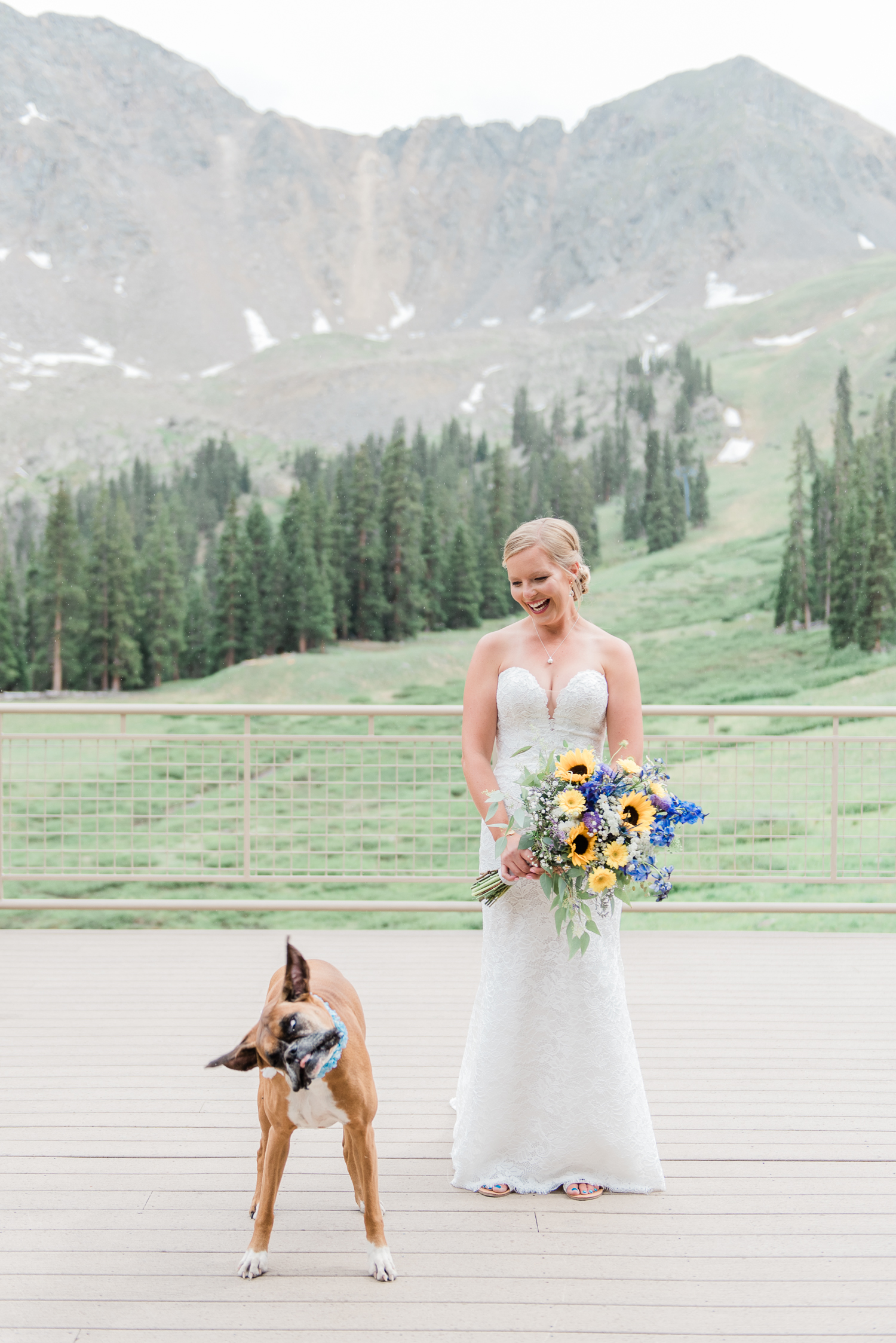 Arapahoe Basin Wedding at Black Mountain Lodge, Colorado - Ashleigh Miller Wedding Photography